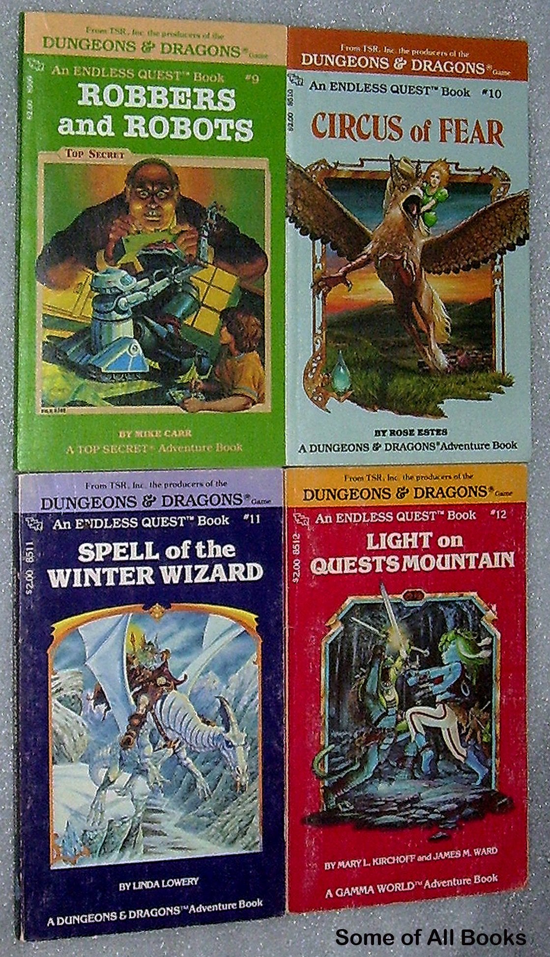 Endless Quest Collector's Set (Volumes 9-12) Books