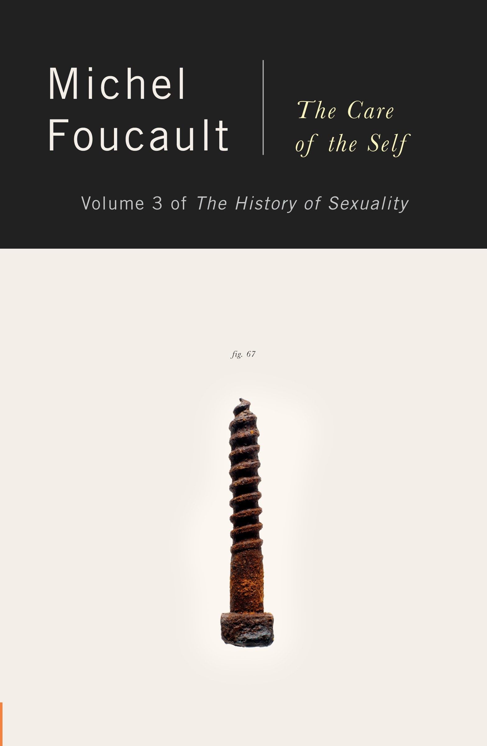 The Care of the Self Philosophy