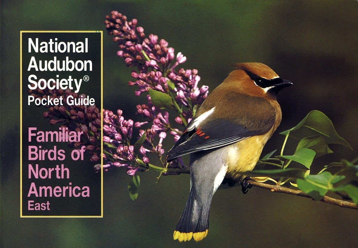 National Audubon Society Pocket Guide to Familiar Birds: Eastern Region: Eastern Mathematics