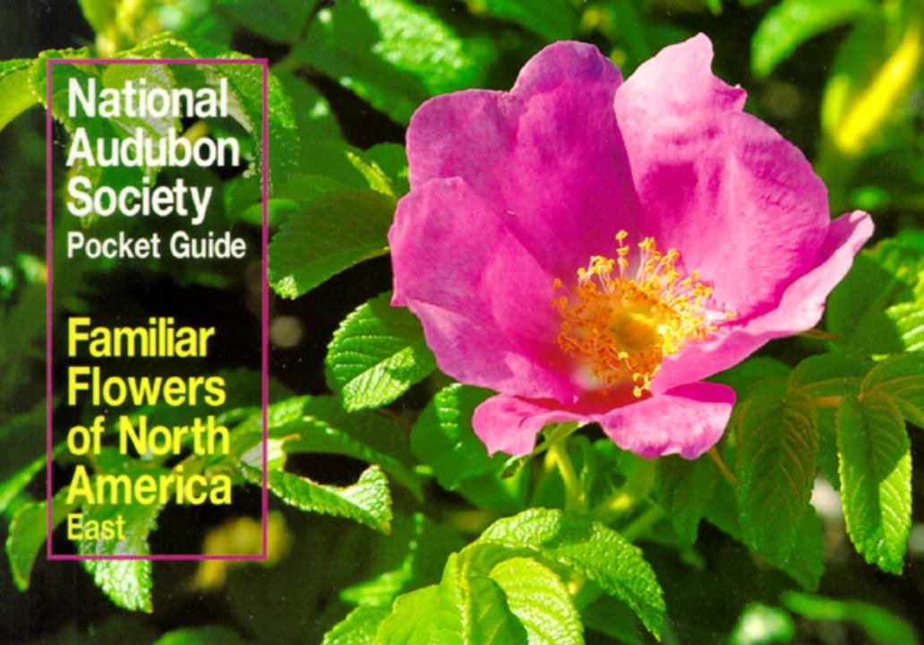 Familiar Flowers of North America: Eastern Region (The Audubon Society Pocket Guides) Mathematics