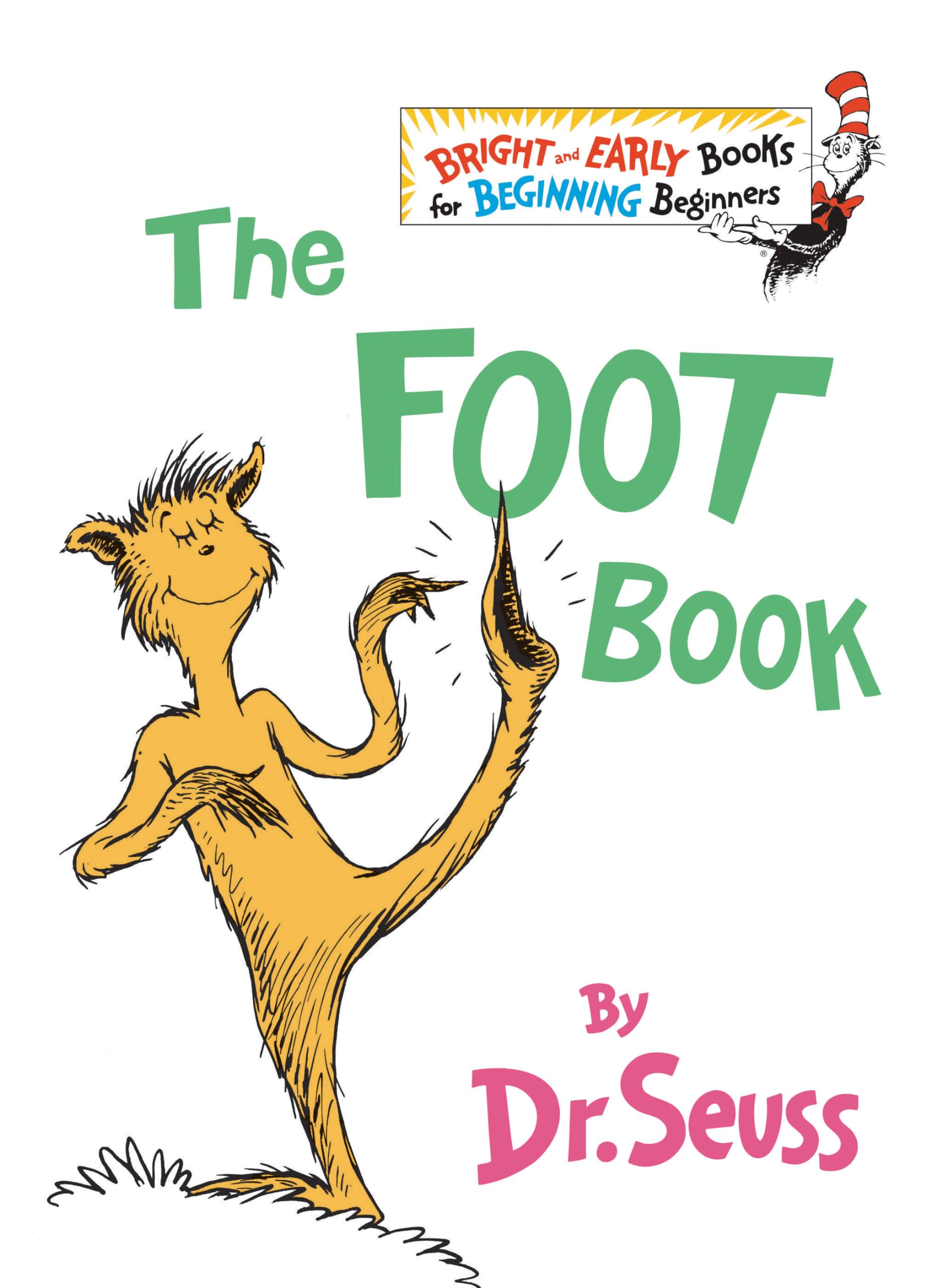 Product Image: The Foot Book