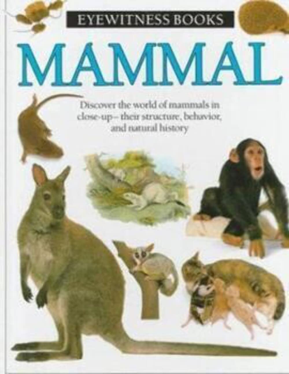 Mammal: (New York Times Notable Book of the Year) Novels & Short Stories