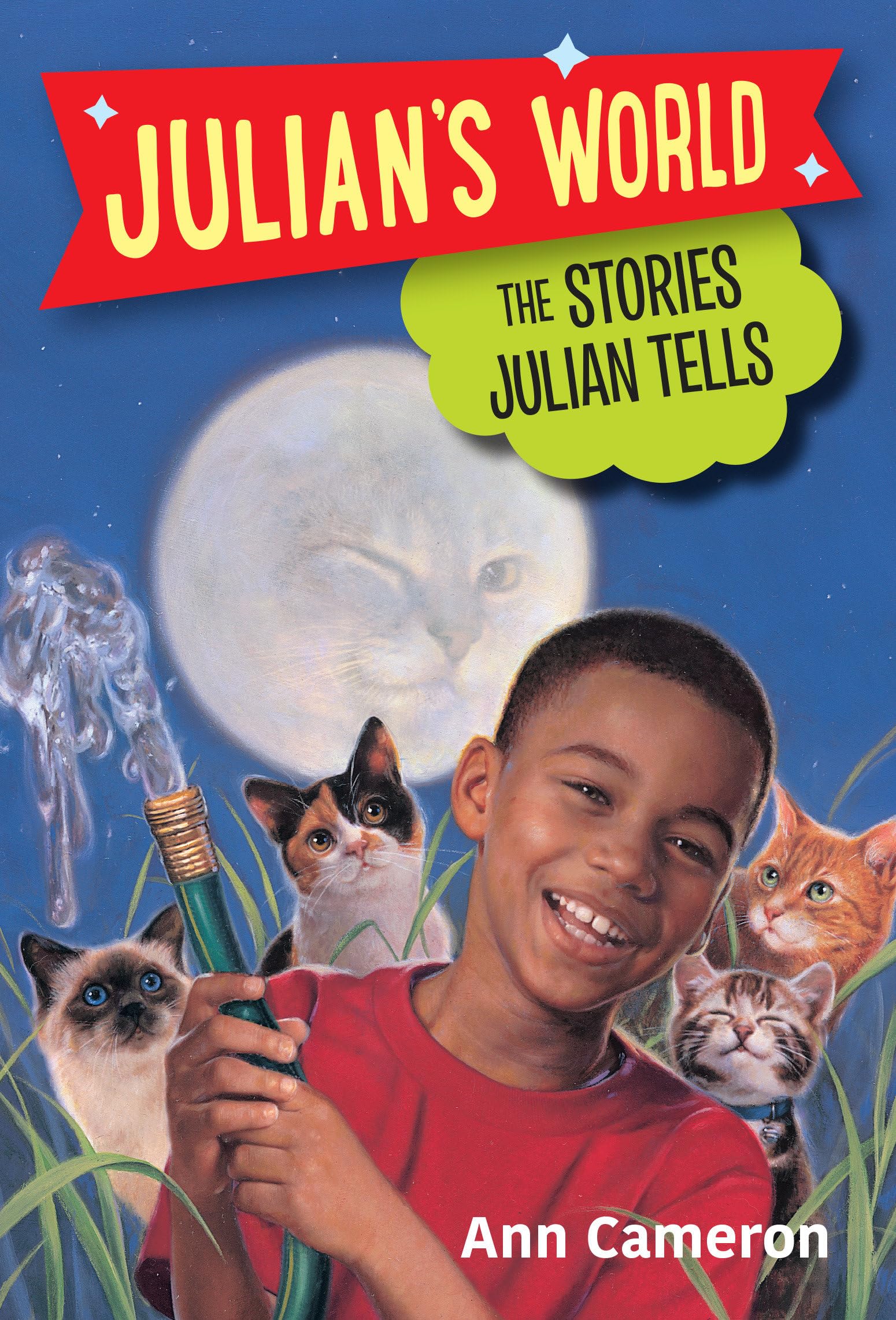The Stories Julian Tells Non-fiction