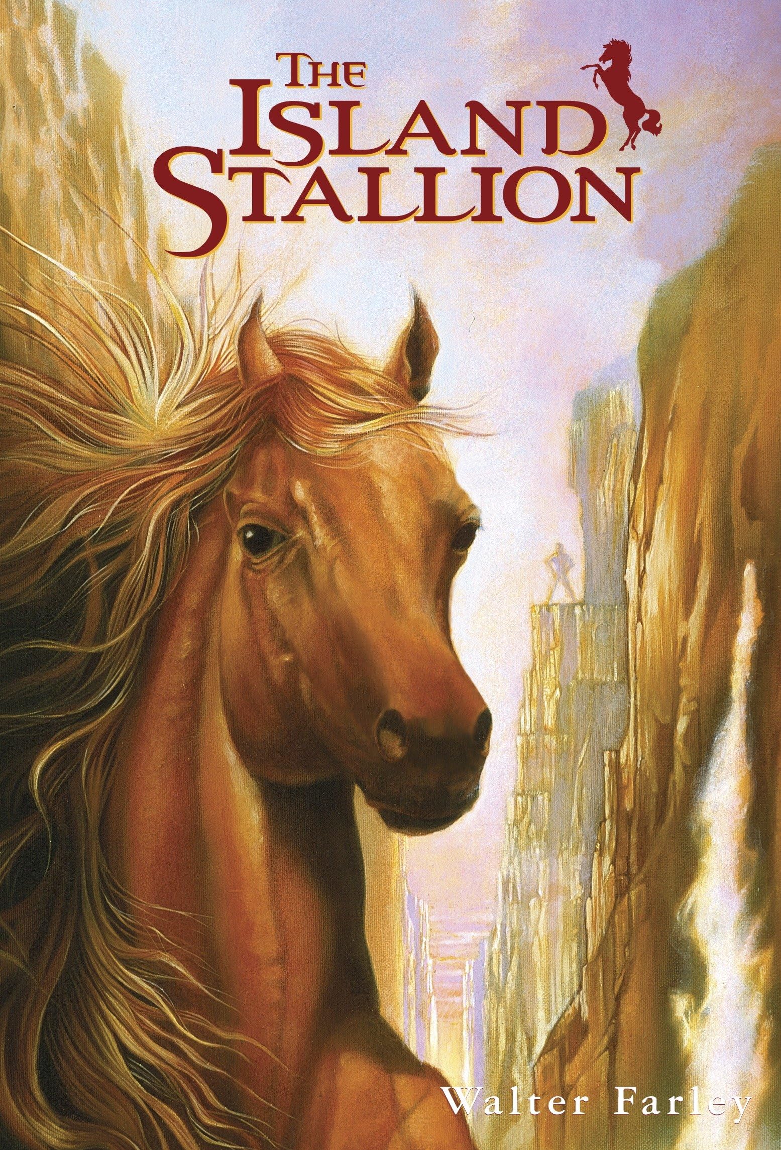 The Island Stallion (Black Stallion, Band 4) Leisure & Fun