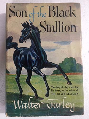 F3 SON OF BLK STALLION Books
