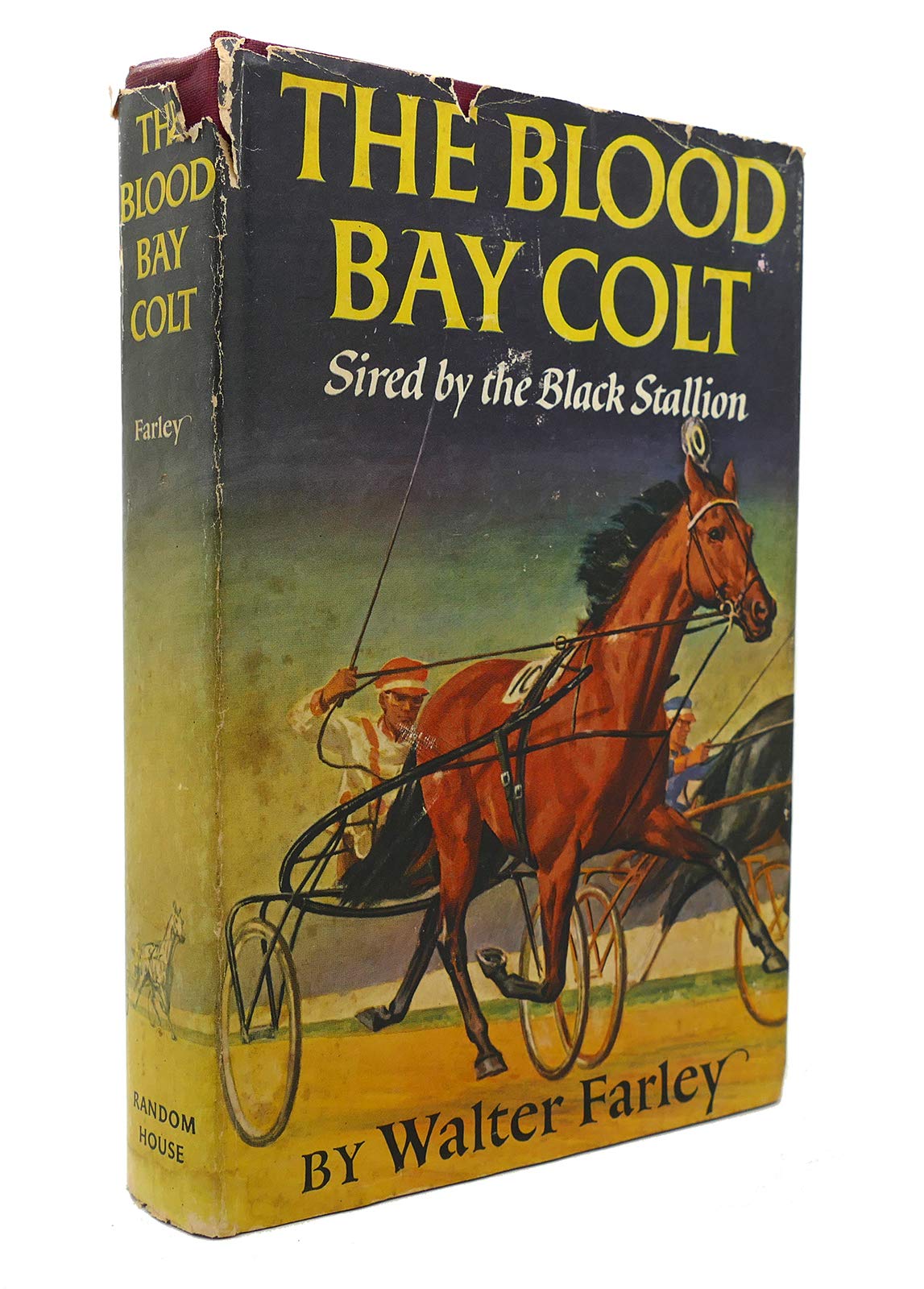 F6 BLOOD BAY COLT Books