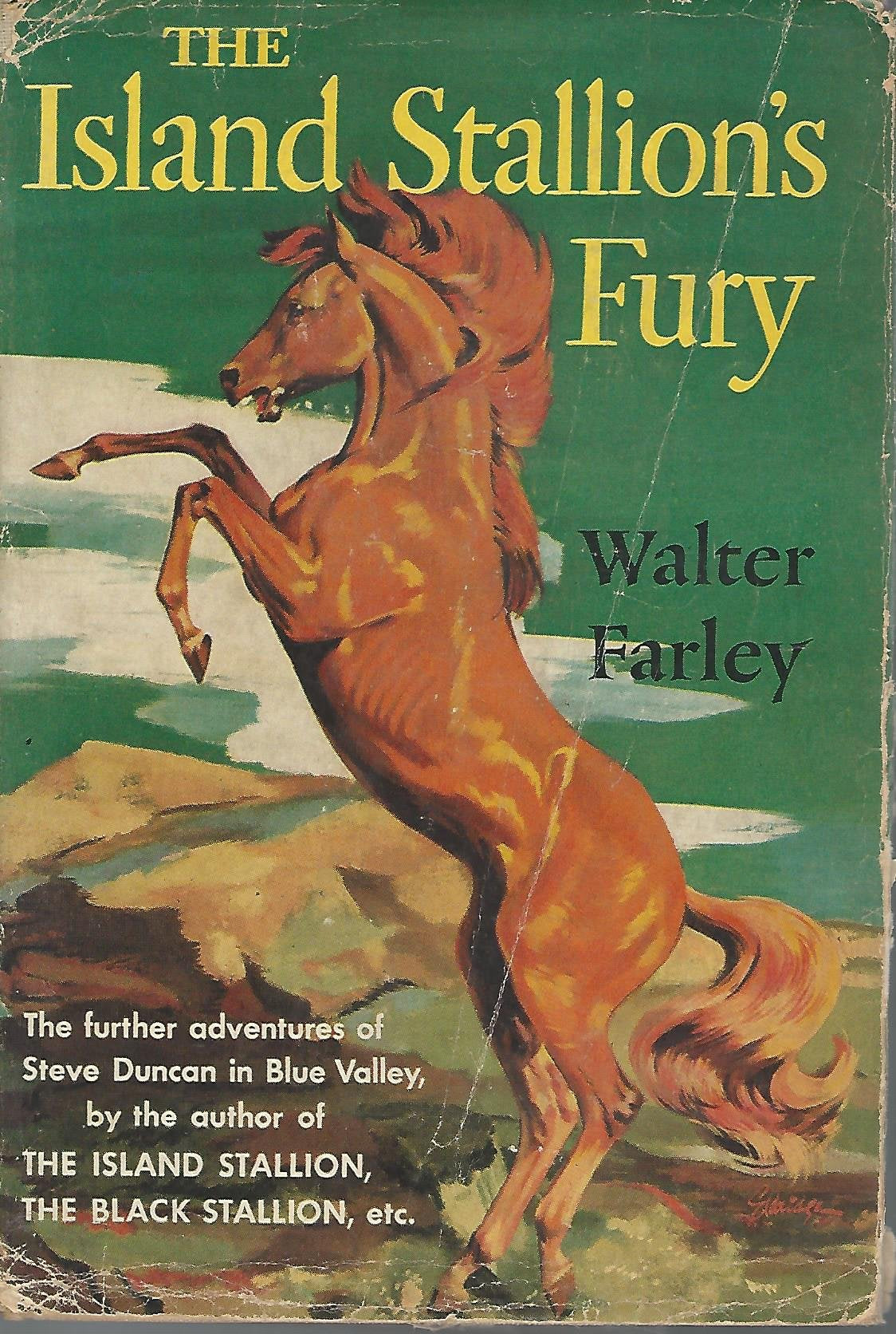 F7 ISLAND STALLN FURY Books
