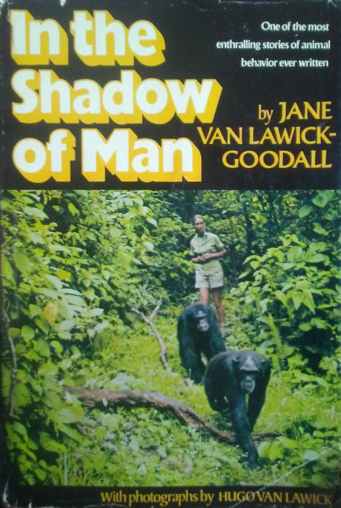 In the Shadow of Man book
