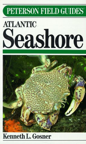 Field Guide to the Atlantic Seashore: From the Bay of Fundy to Cape Hatteras (Peterson Field Guides) Mathematics
