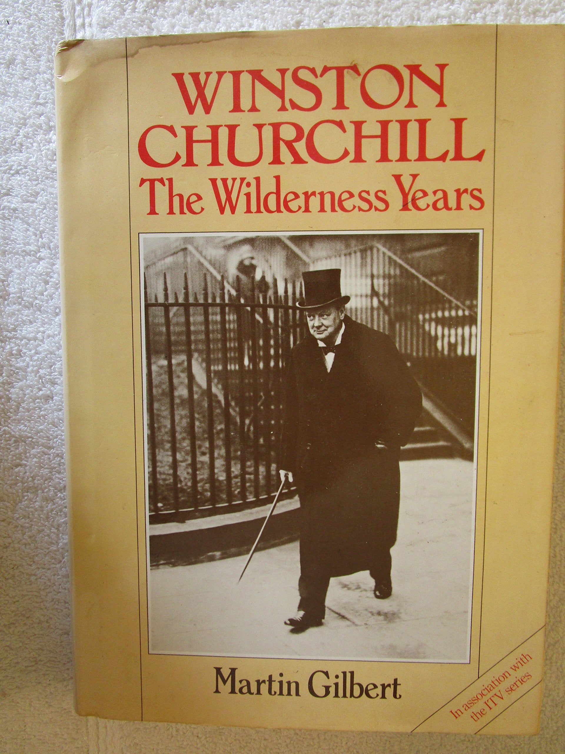 Winston Churchill: The Wilderness Years book