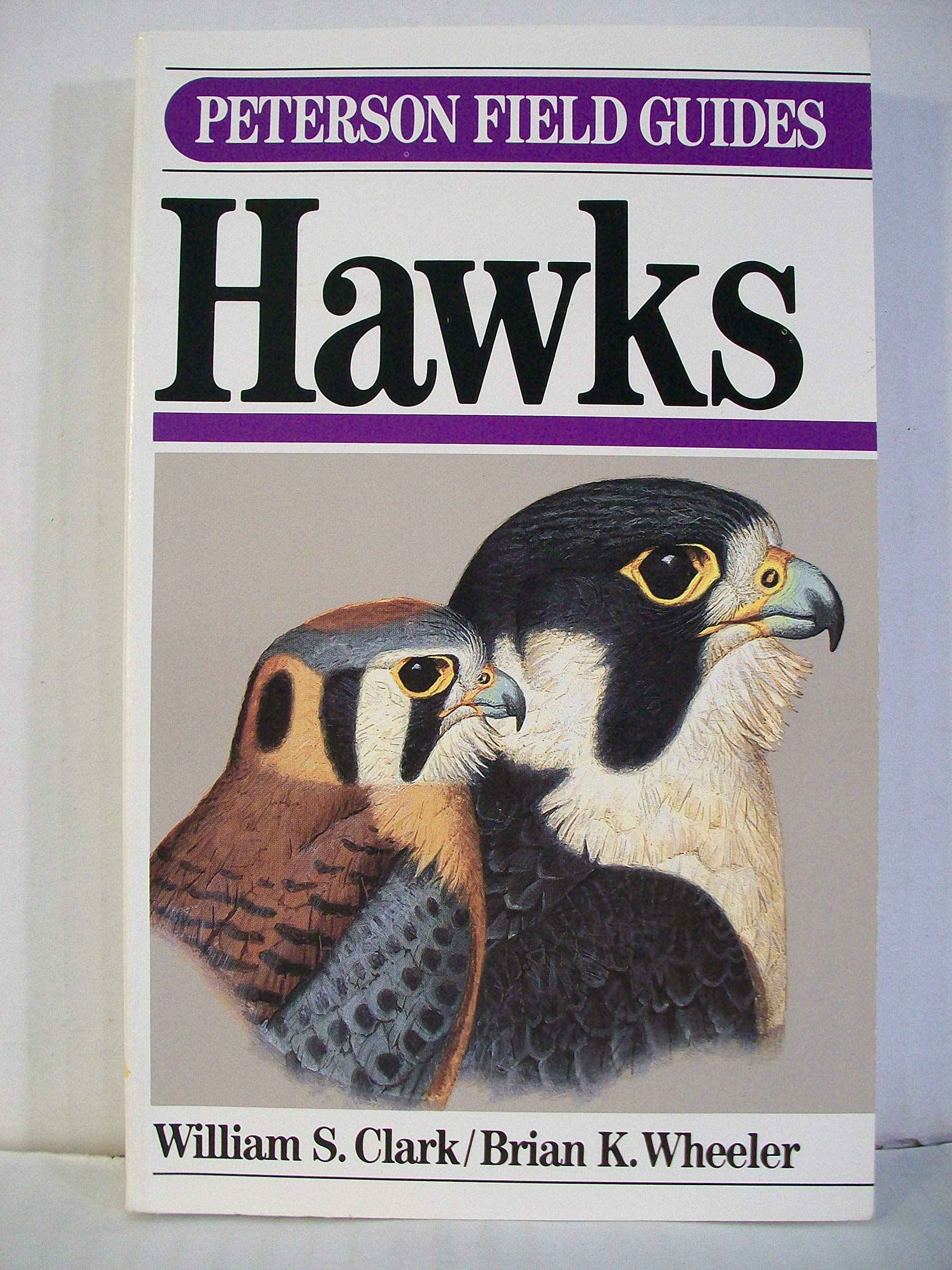 Field Guide to Hawks (Peterson Field Guides) Mathematics