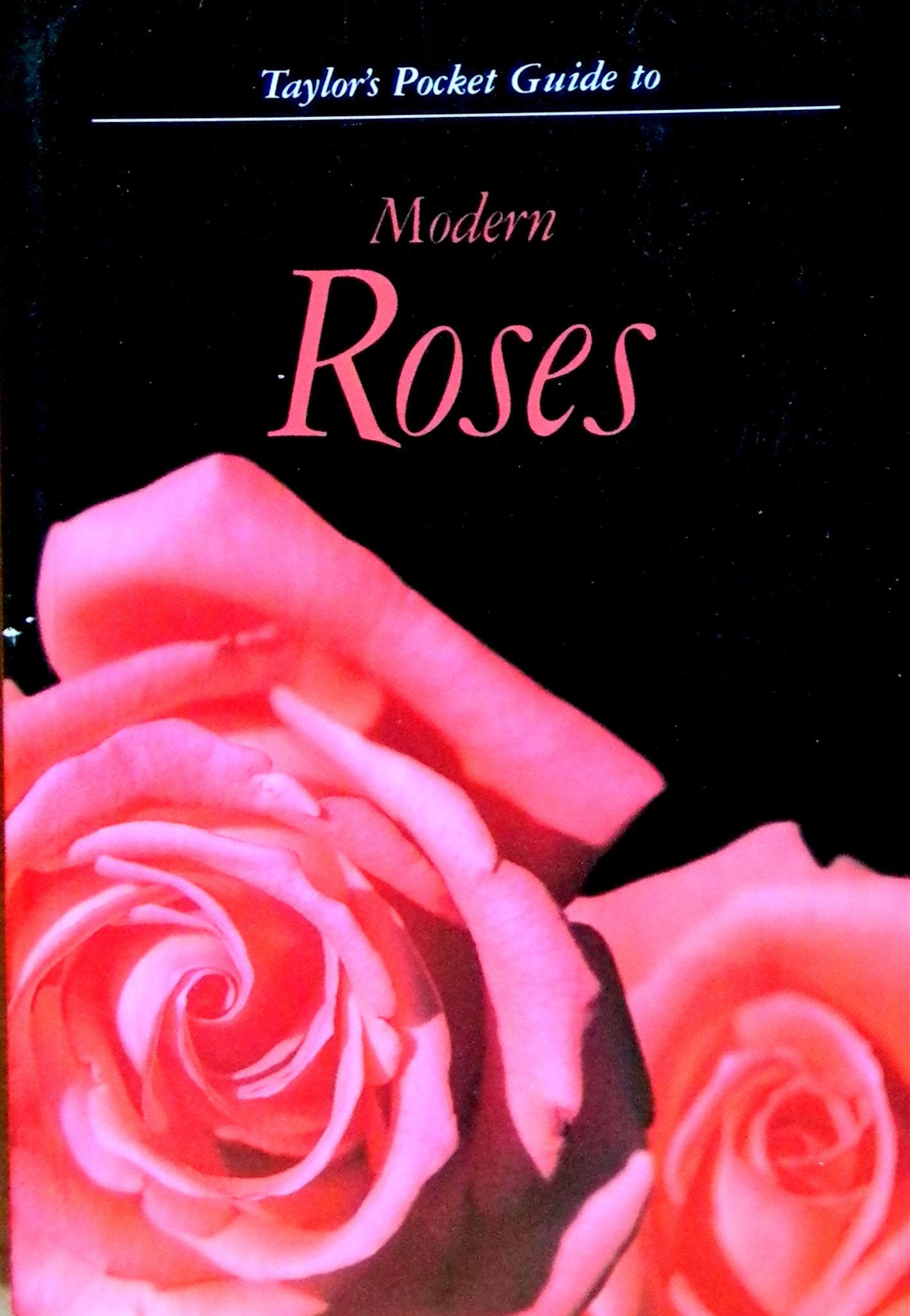Taylor's Pocket Guide to Modern Roses (Taylor's pocket guides) Garden & Plants