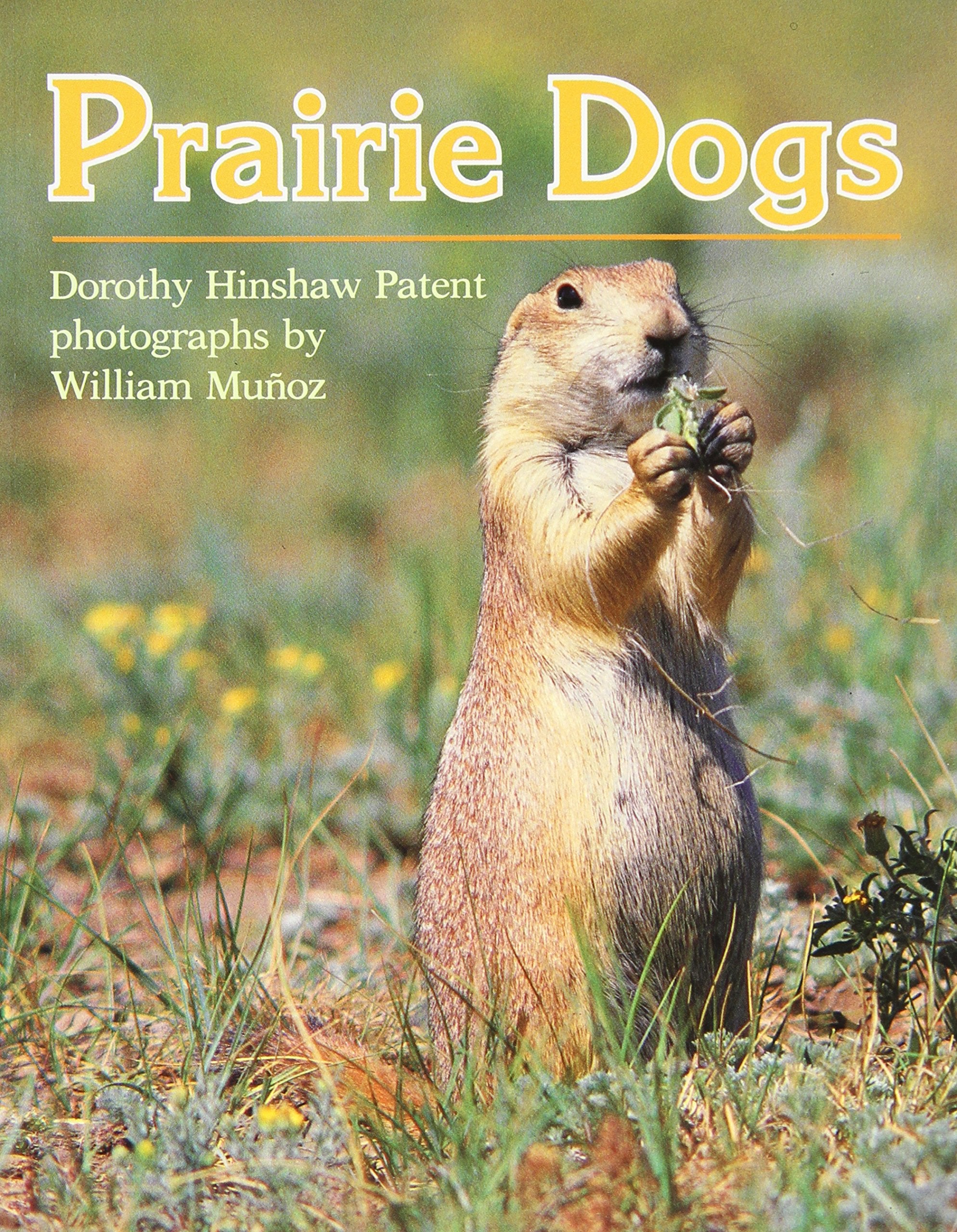 Prairie Dogs Non-fiction