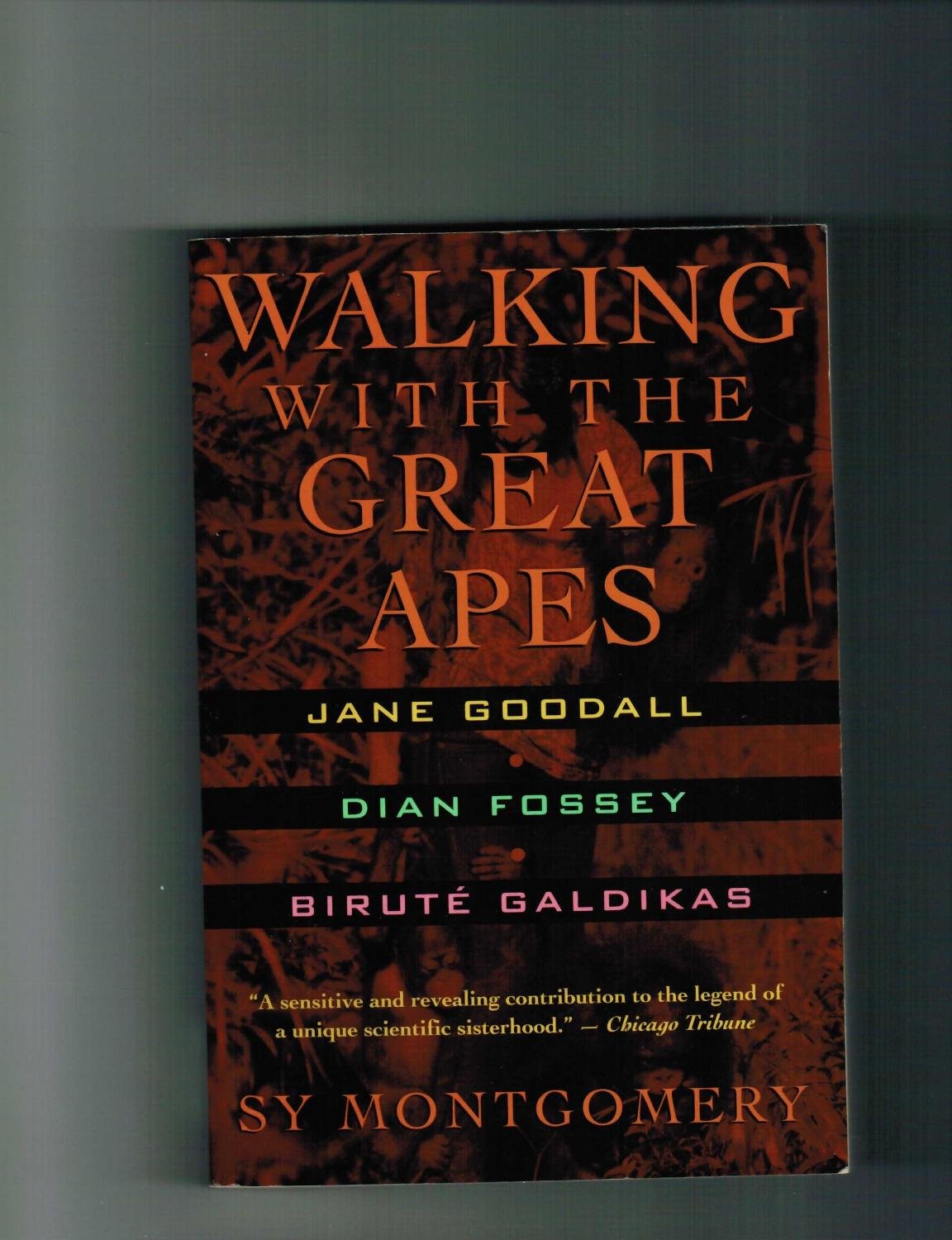 Walking With the Great Apes: Jane Goodall, Dian Fossey, Birute Galdikas Mathematics