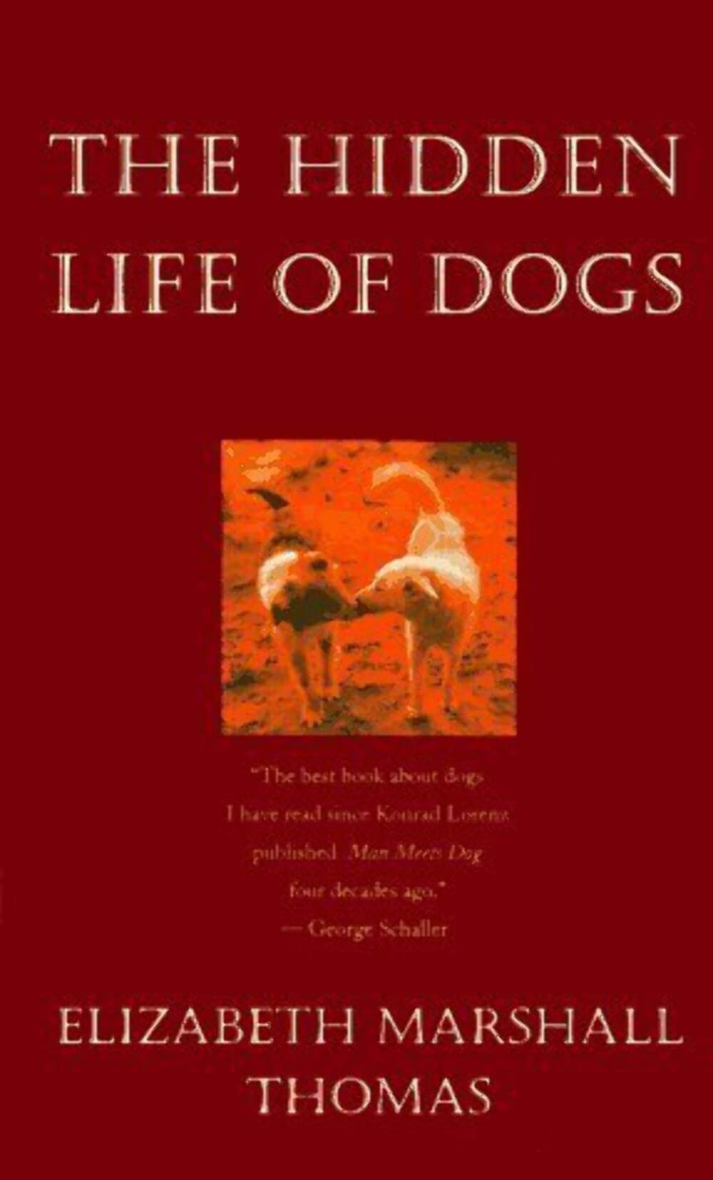 The Hidden Life of Dogs Pets