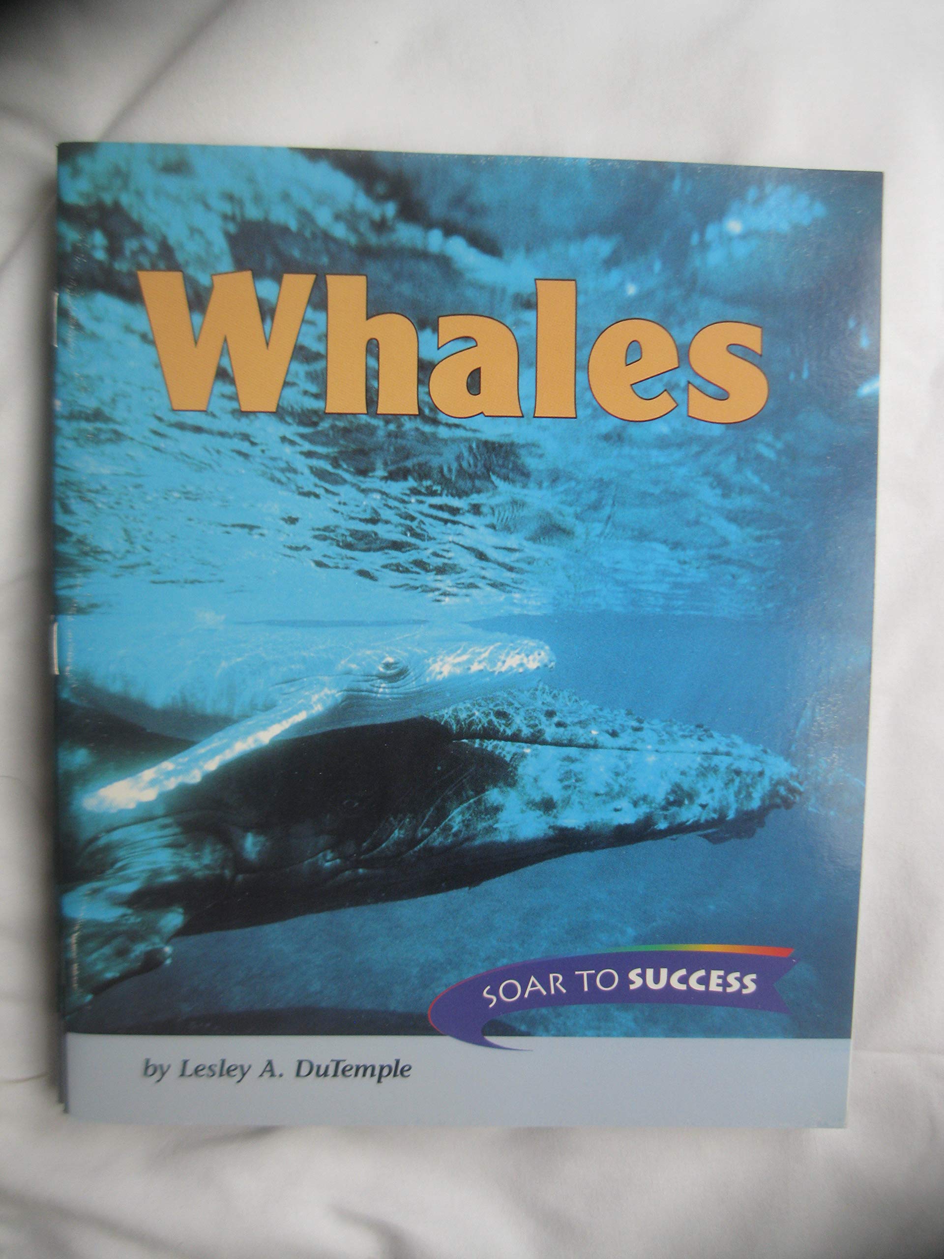 READ SOAR PBACK WHALES LV 4 99: Houghton Mifflin Soar to Success (Read Soar to Success 1999) Learning & Reference