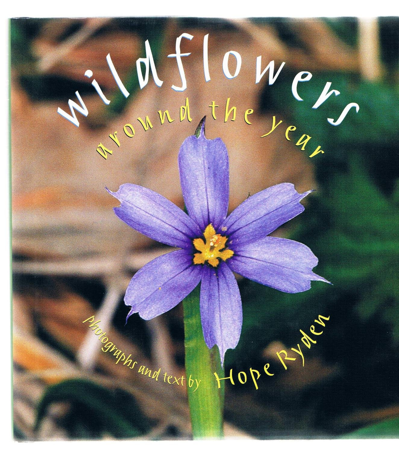 Wildflowers Around the Year book
