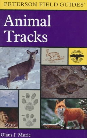 A Field Guide to Animal Tracks (Peterson Field Guide Series) Mathematics