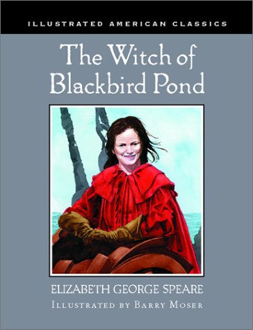 Witch of Blackbird Pond Fiction