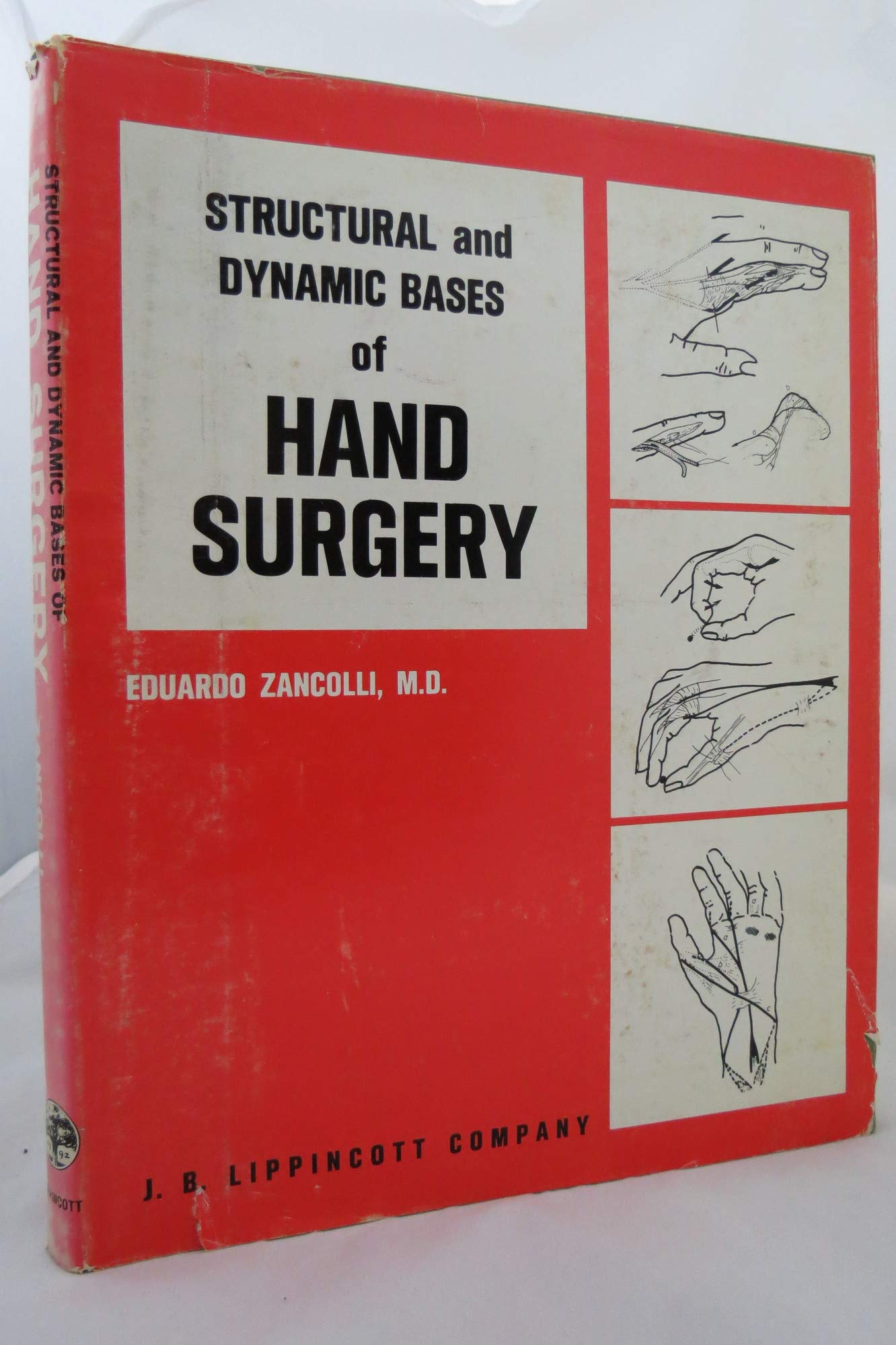 Structural and Dynamic Bases of Hand Surgery Medicine