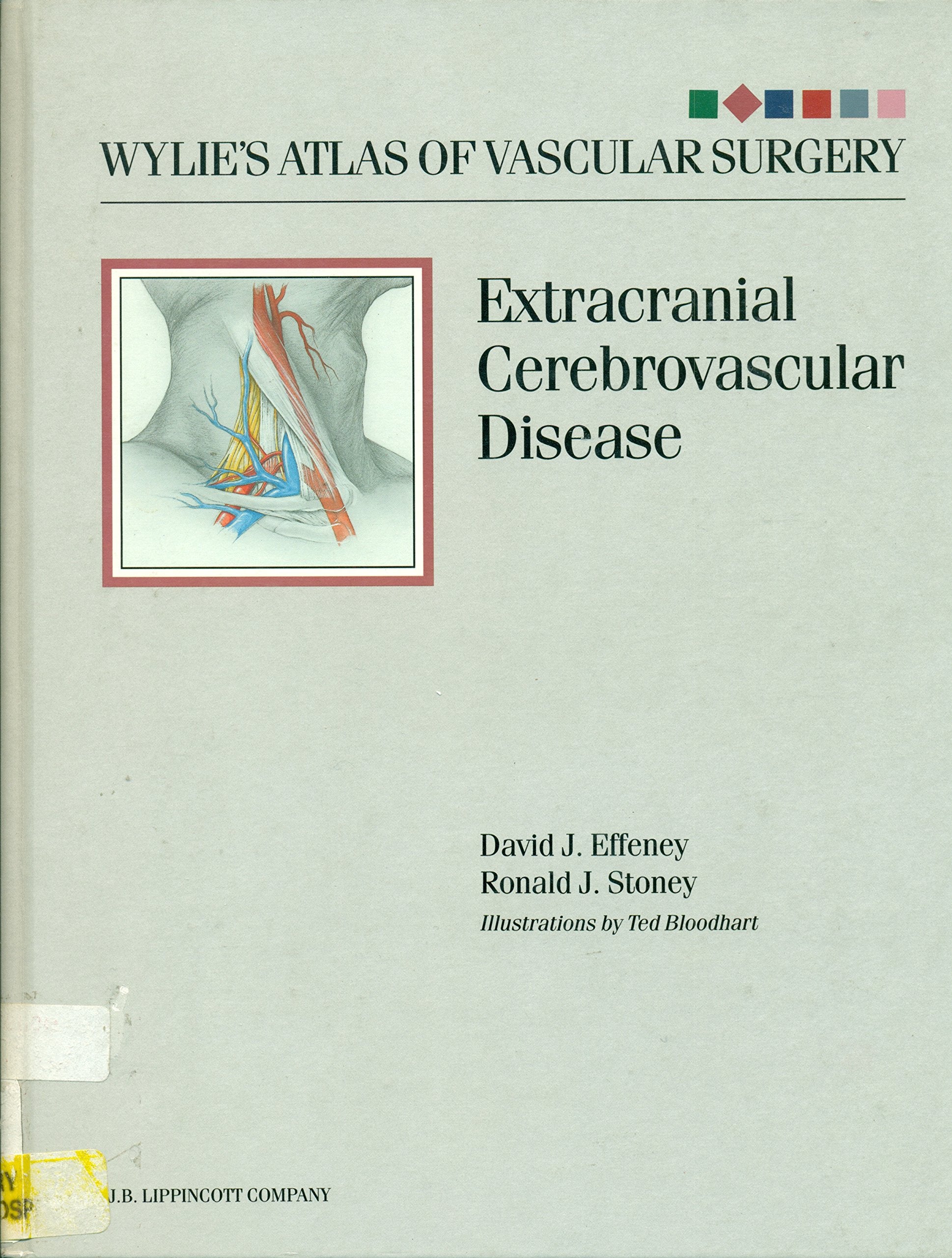 Wylie's Atlas of Vascular Surgery: Cerebrovascular Disease Medicine