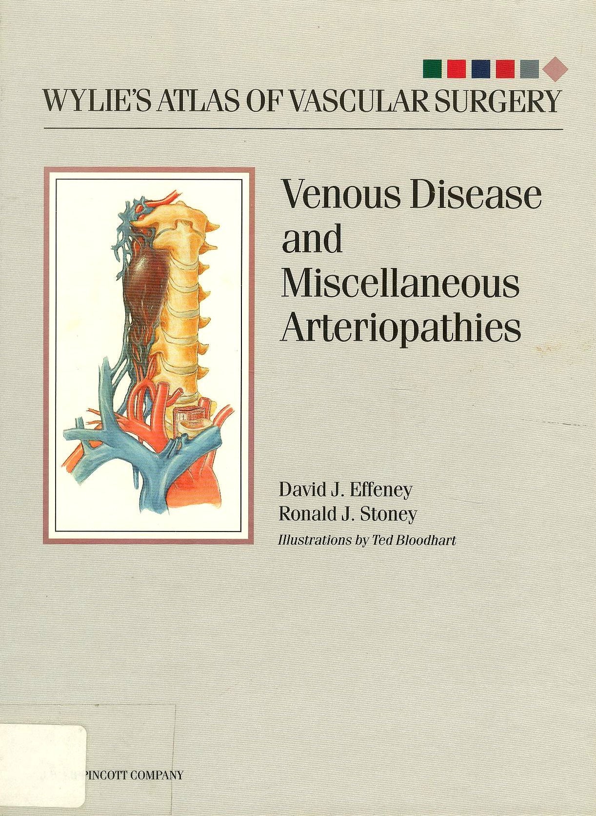 Wylie's Atlas of Vascular Surgery: Venous Disease and Miscellaneous Arteriopathies Medicine