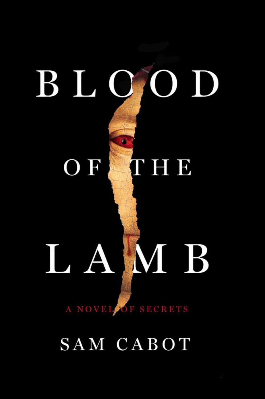 Blood of the Lamb: A Novel of Secrets Action & Adventure