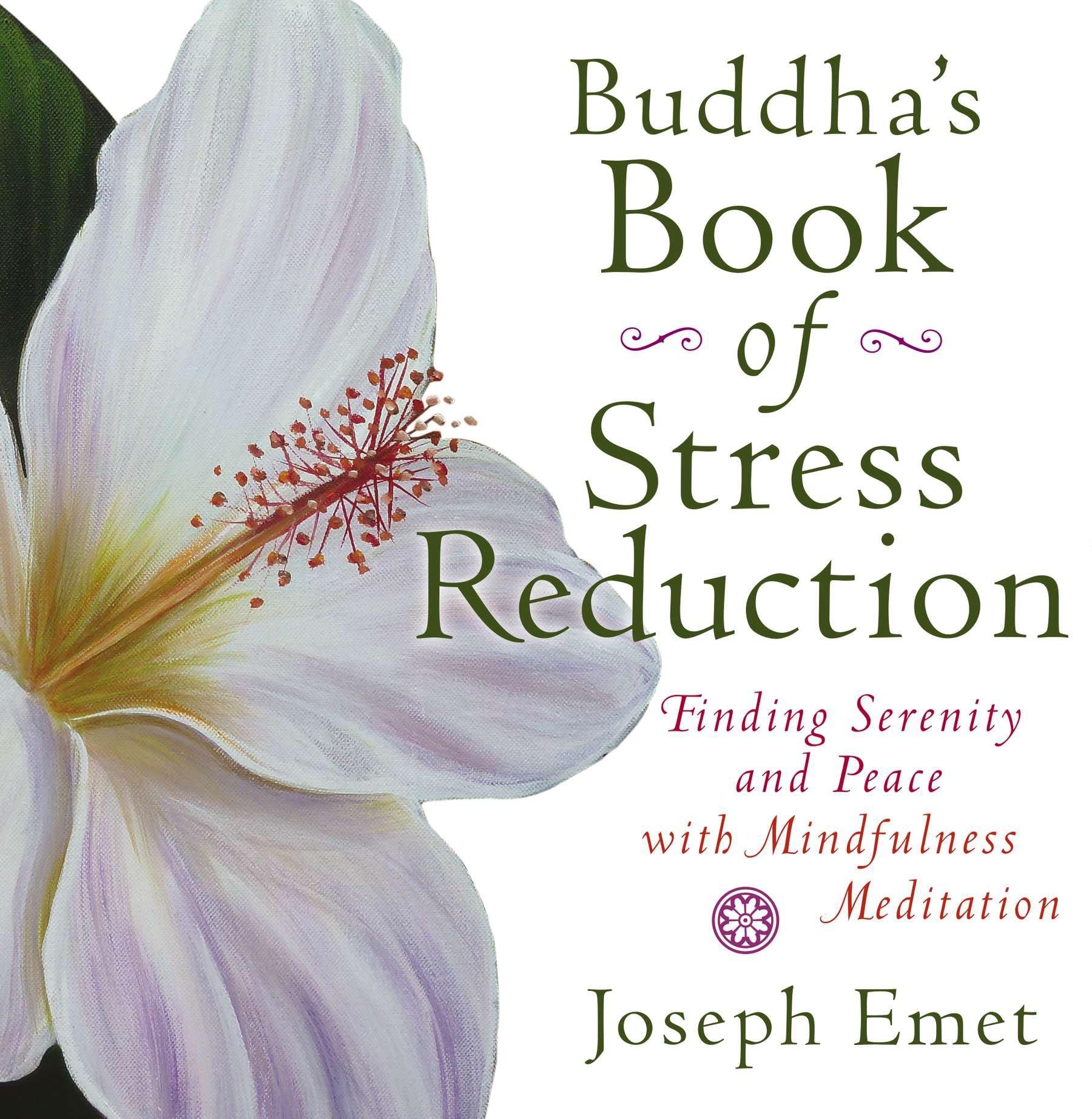 Buddha's Book of Stress Reduction Business, Finance & Career