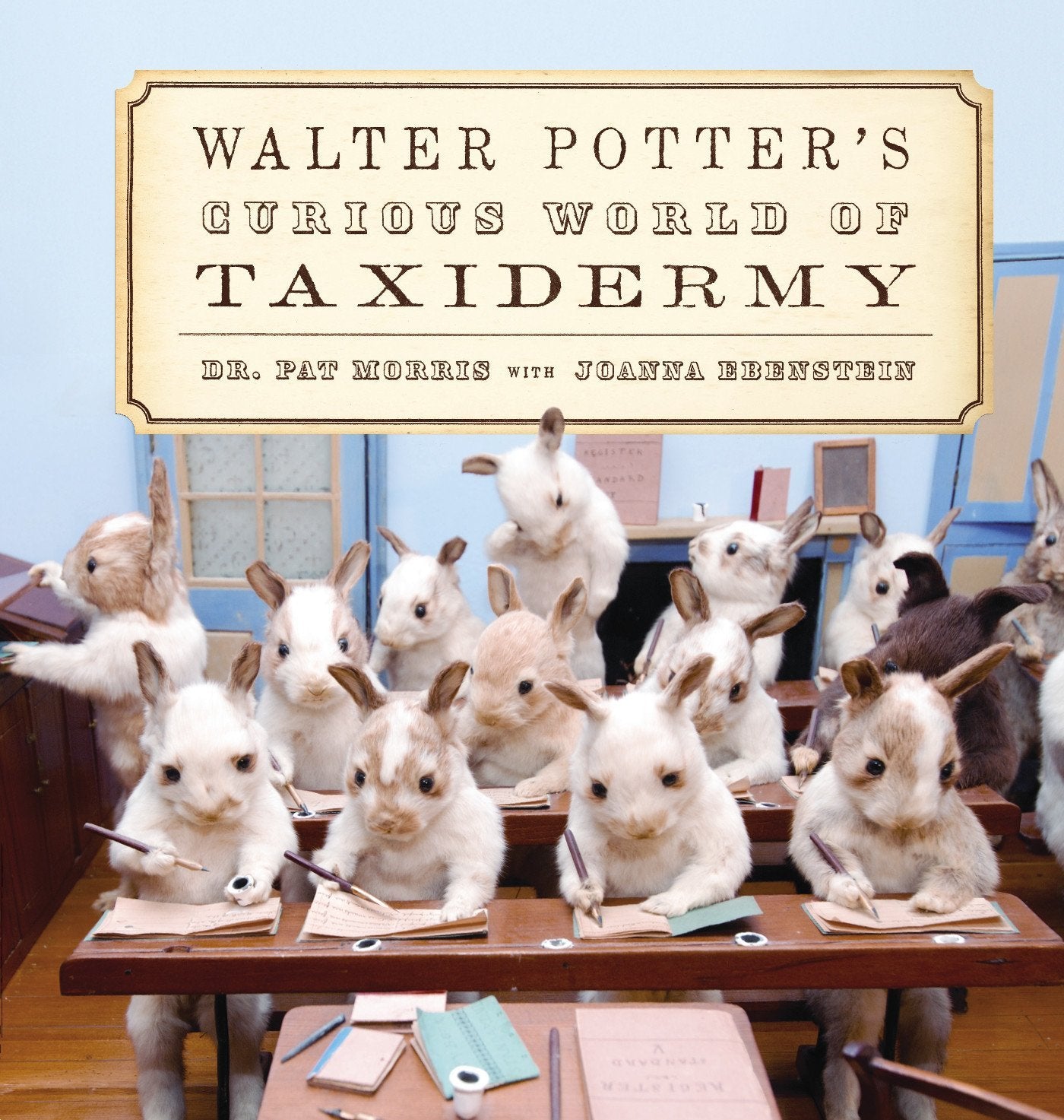 Walter Potter's Curious World of Taxidermy Film, Art & Culture