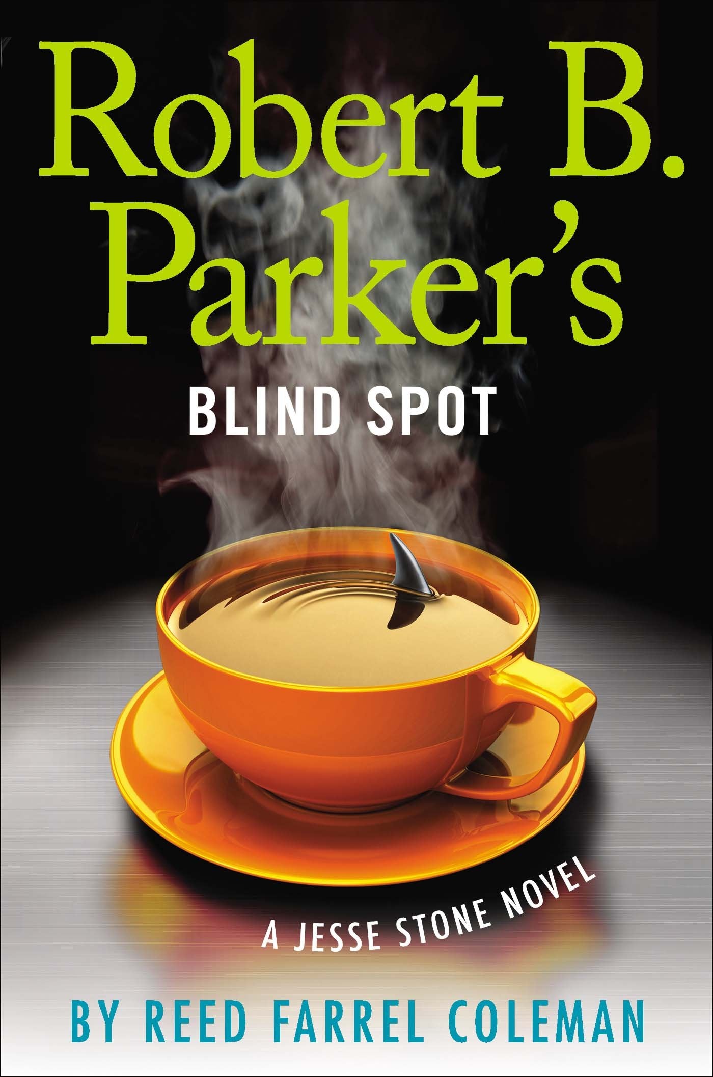 Robert B. Parker's Blind Spot: A Jesse Stone Novel (Chief Jesse Stone, 13, Band 13) Detective & CSI