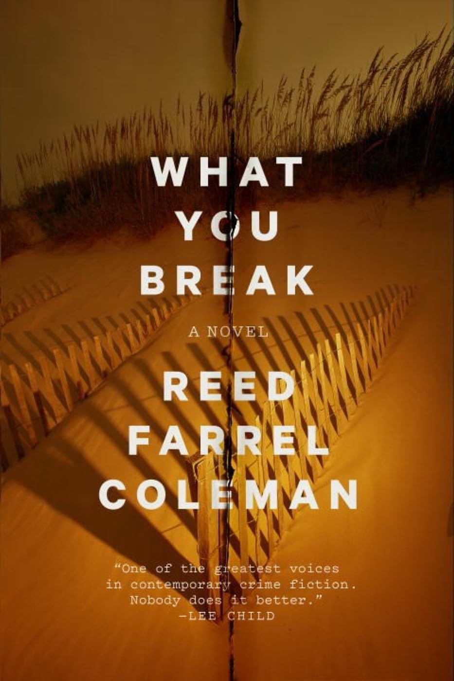 What You Break: A Novel (Gus Murphy, 2, Band 2) Contemporary literature