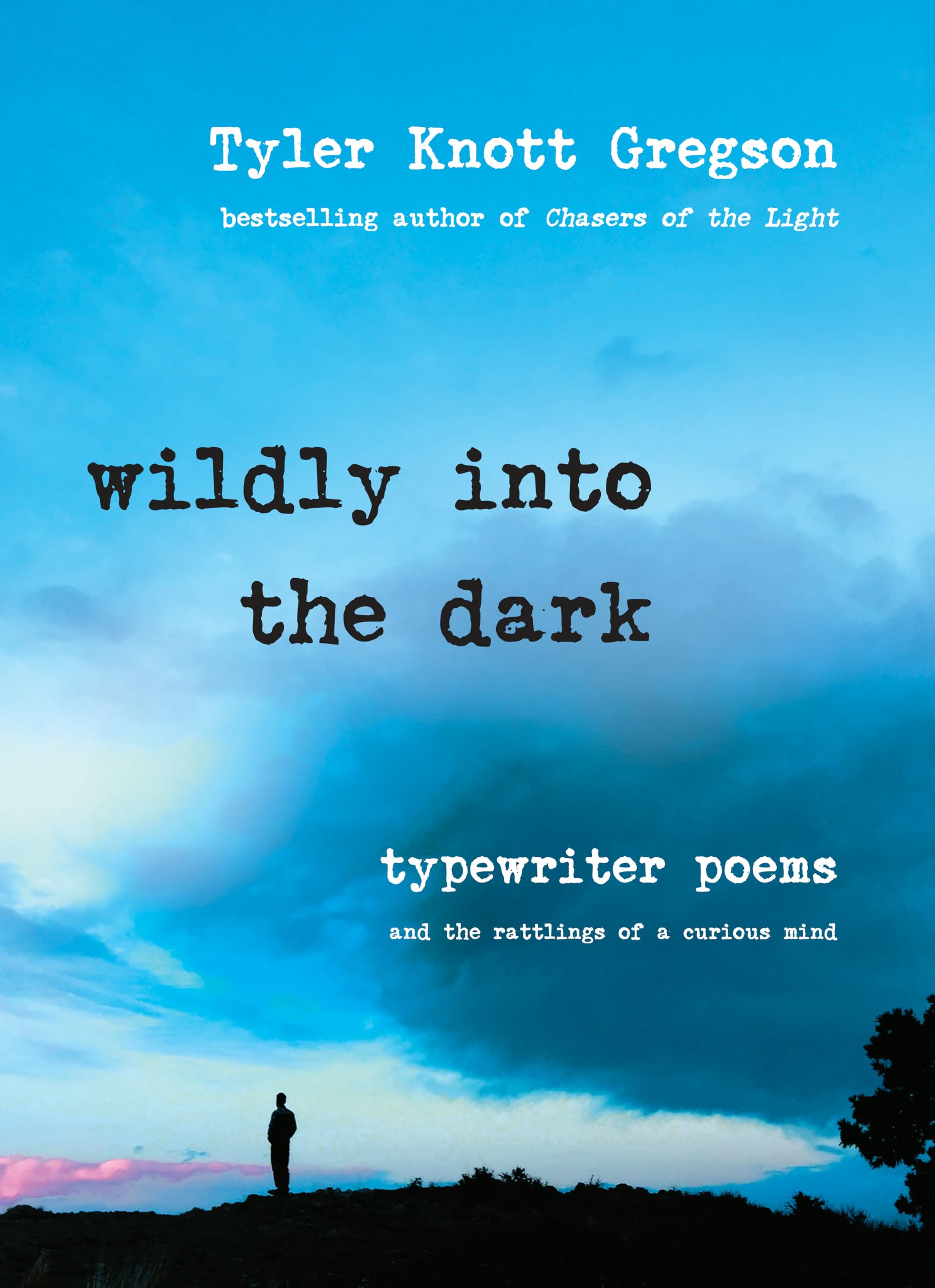 Wildly Into the Dark Books