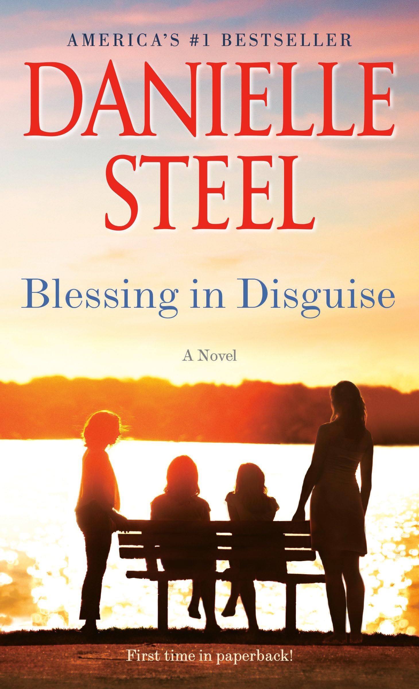 Blessing in Disguise: A Novel Contemporary literature