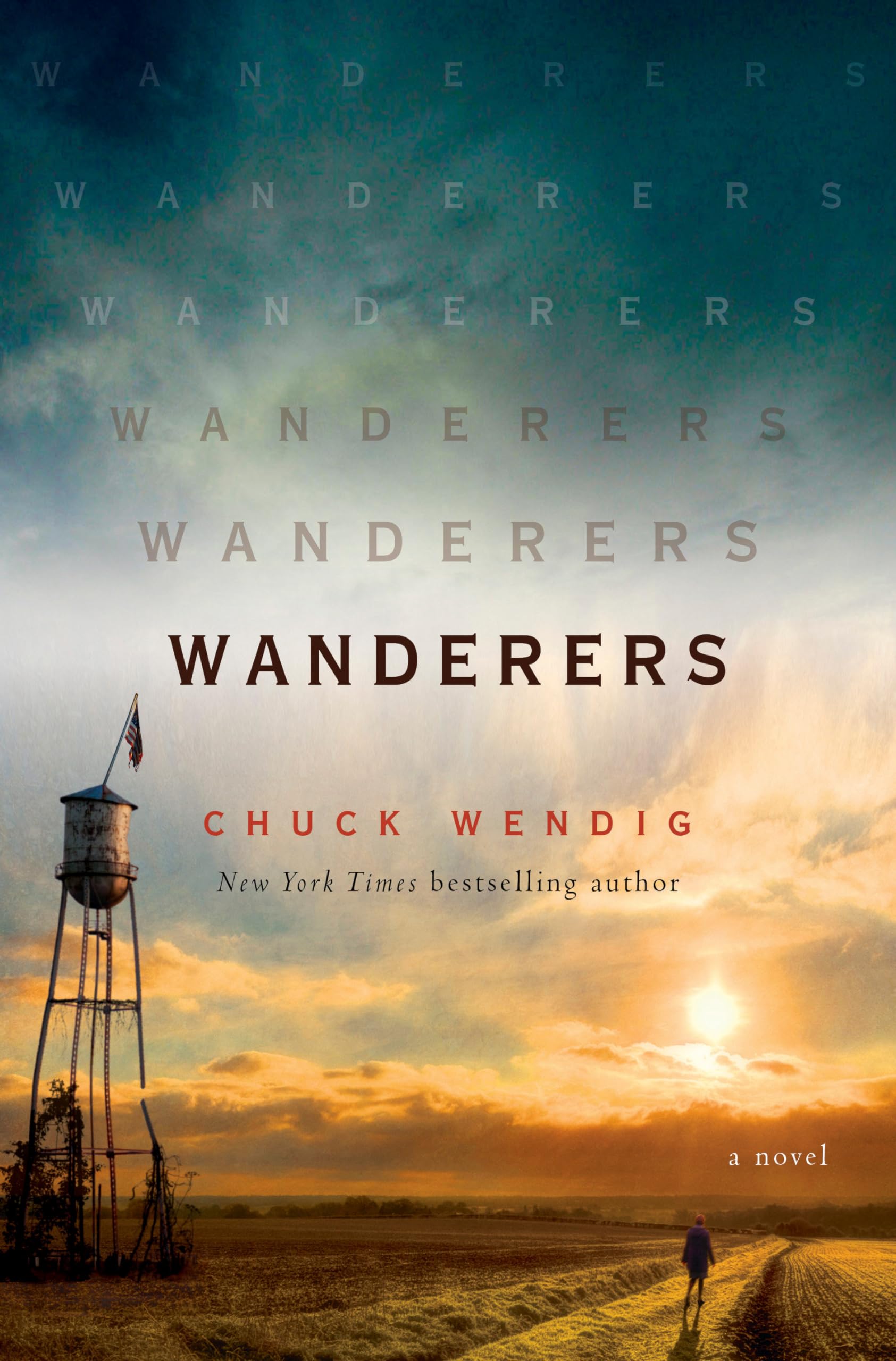 Product Image: Wanderers: A Novel