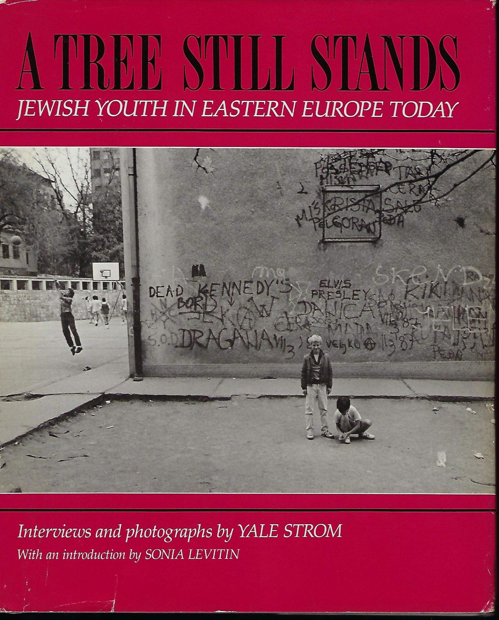 A Tree Still Stands: Jewish Youth in Eastern Europe Today German history