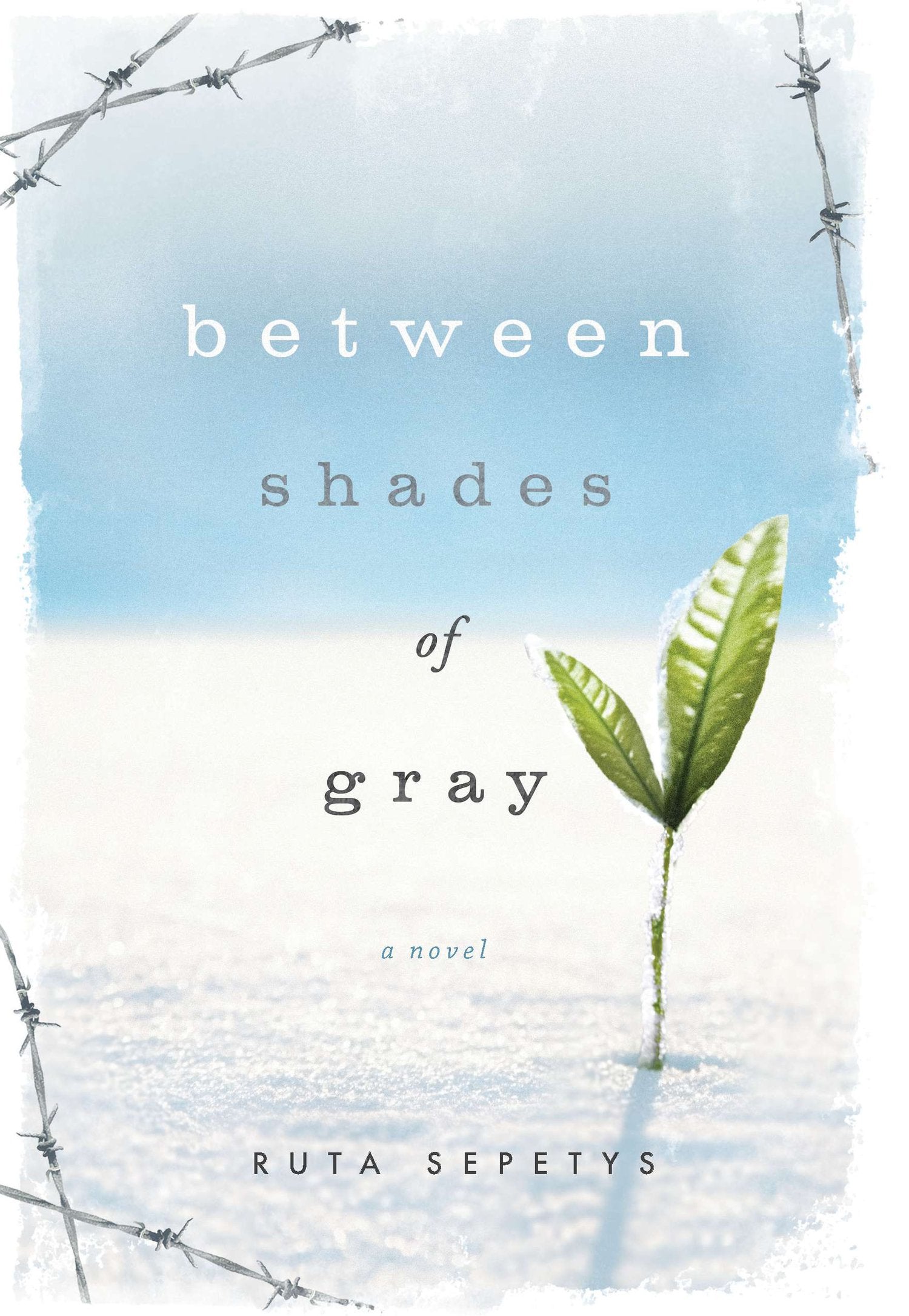 Between Shades of Gray: A Novel Politics & History