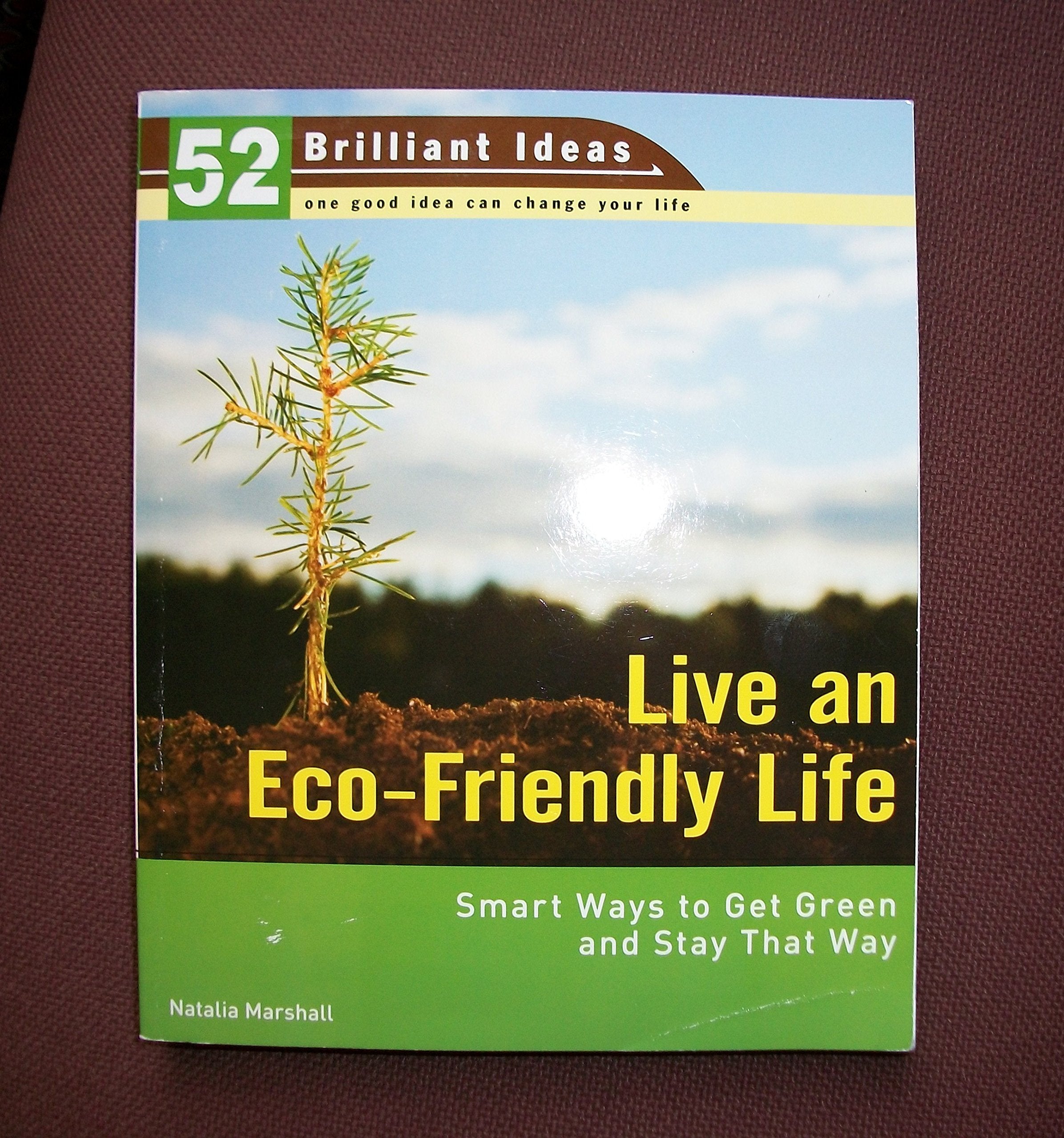 Live an Eco-friendly Life: Smart Ways to Get Green and Stay That Way (52 Brilliant Ideas) Mathematics