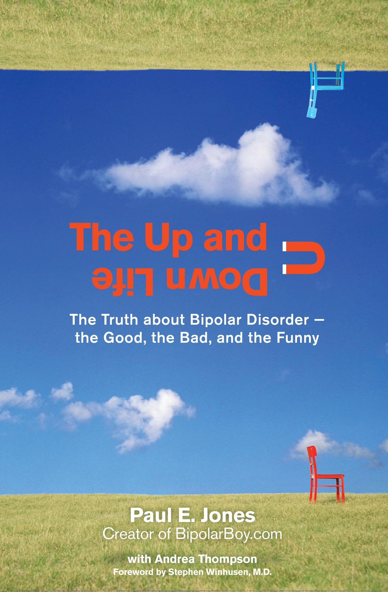 The Up and Down Life: The Truth About Bipolar Disorder--the Good, the Bad, and the Funny (Lynn Sonberg Books) Politics & Society