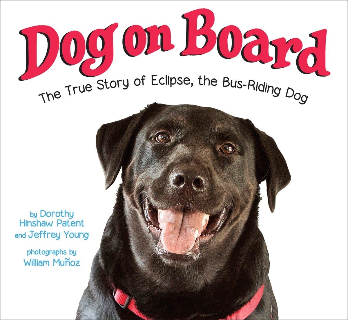 Dog on Board: The True Story of Eclipse, the Bus-Riding Dog Non-fiction