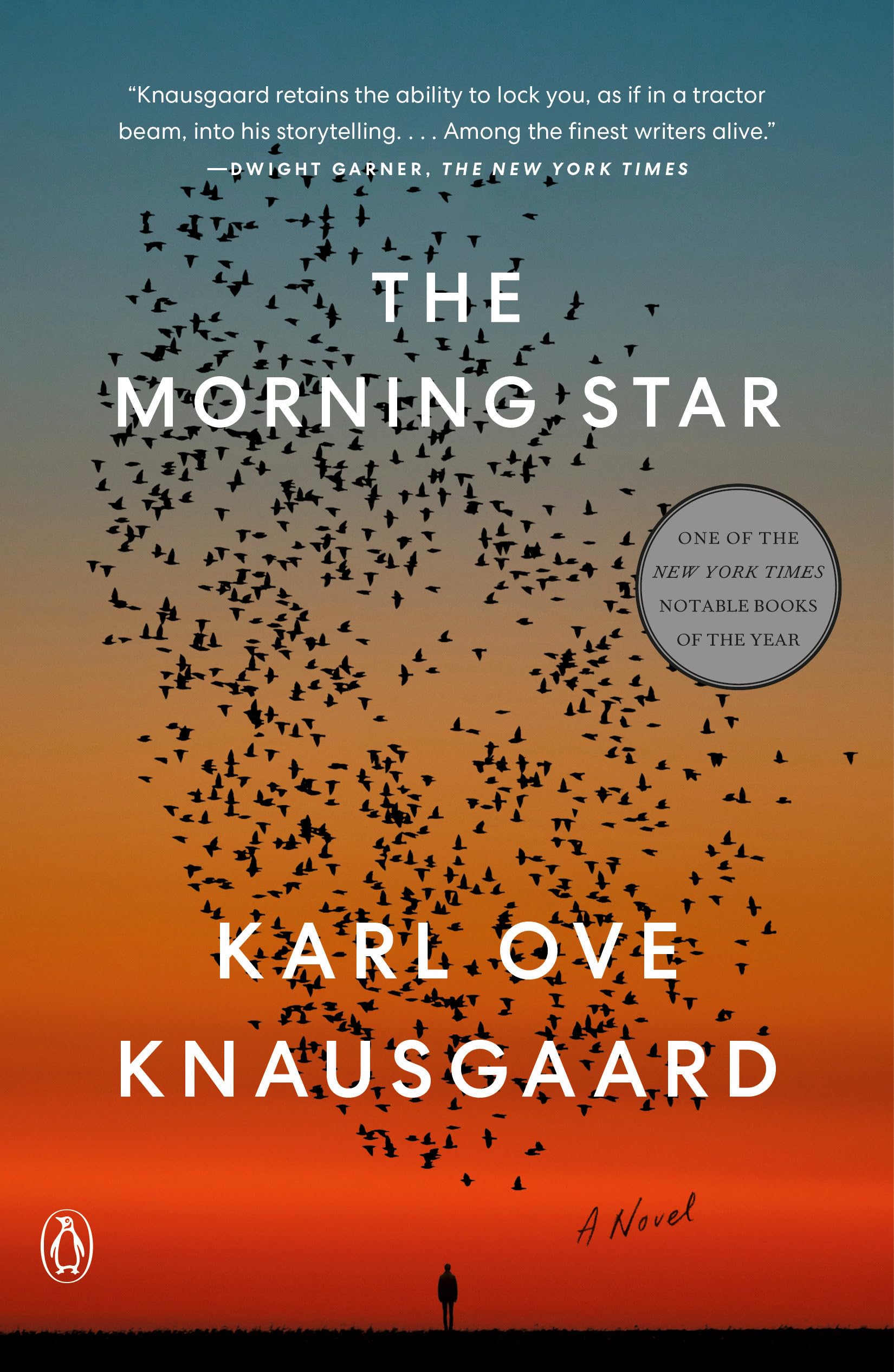 The Morning Star: A Novel Contemporary literature