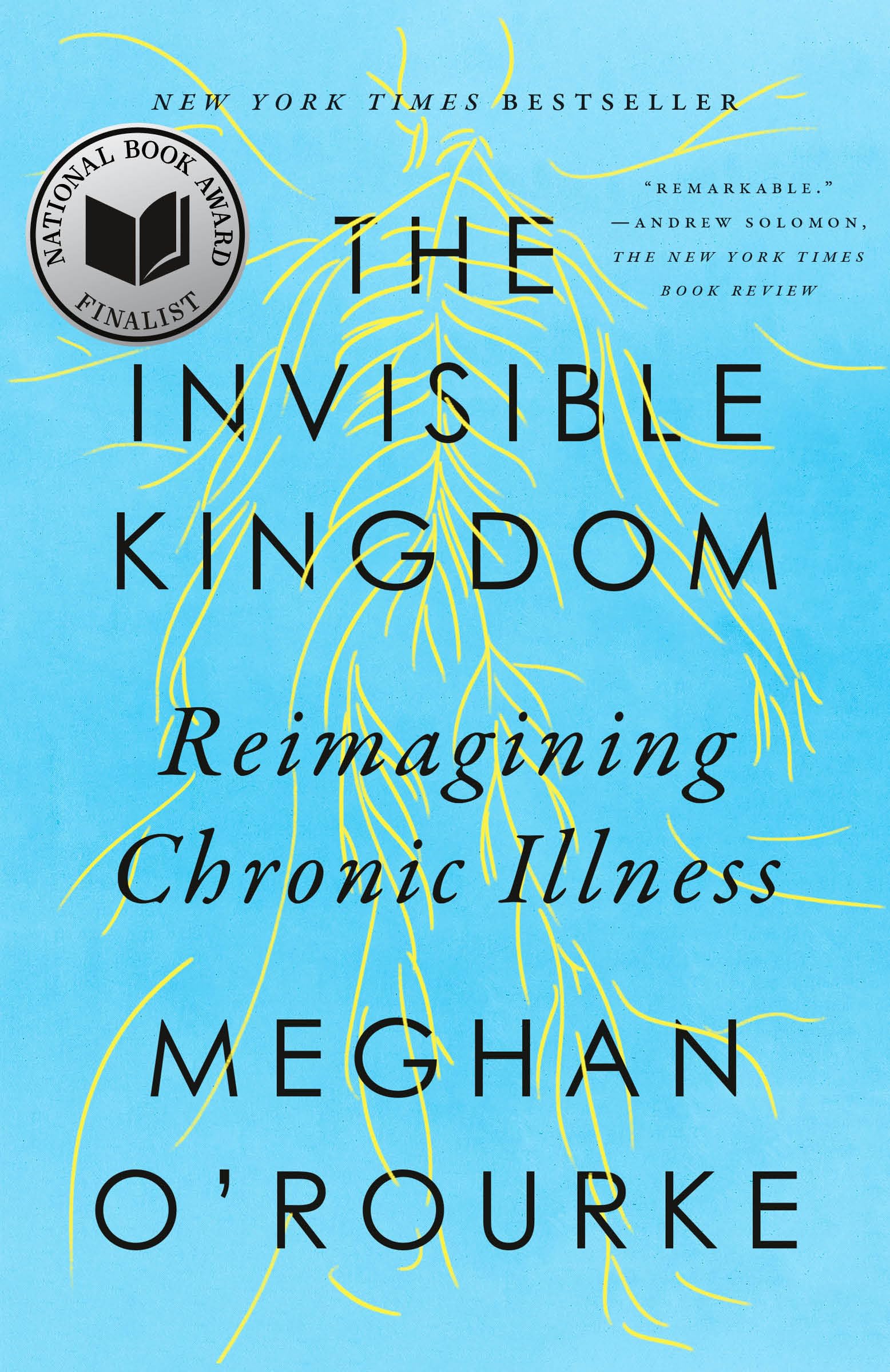 The Invisible Kingdom: Reimagining Chronic Illness Medicine