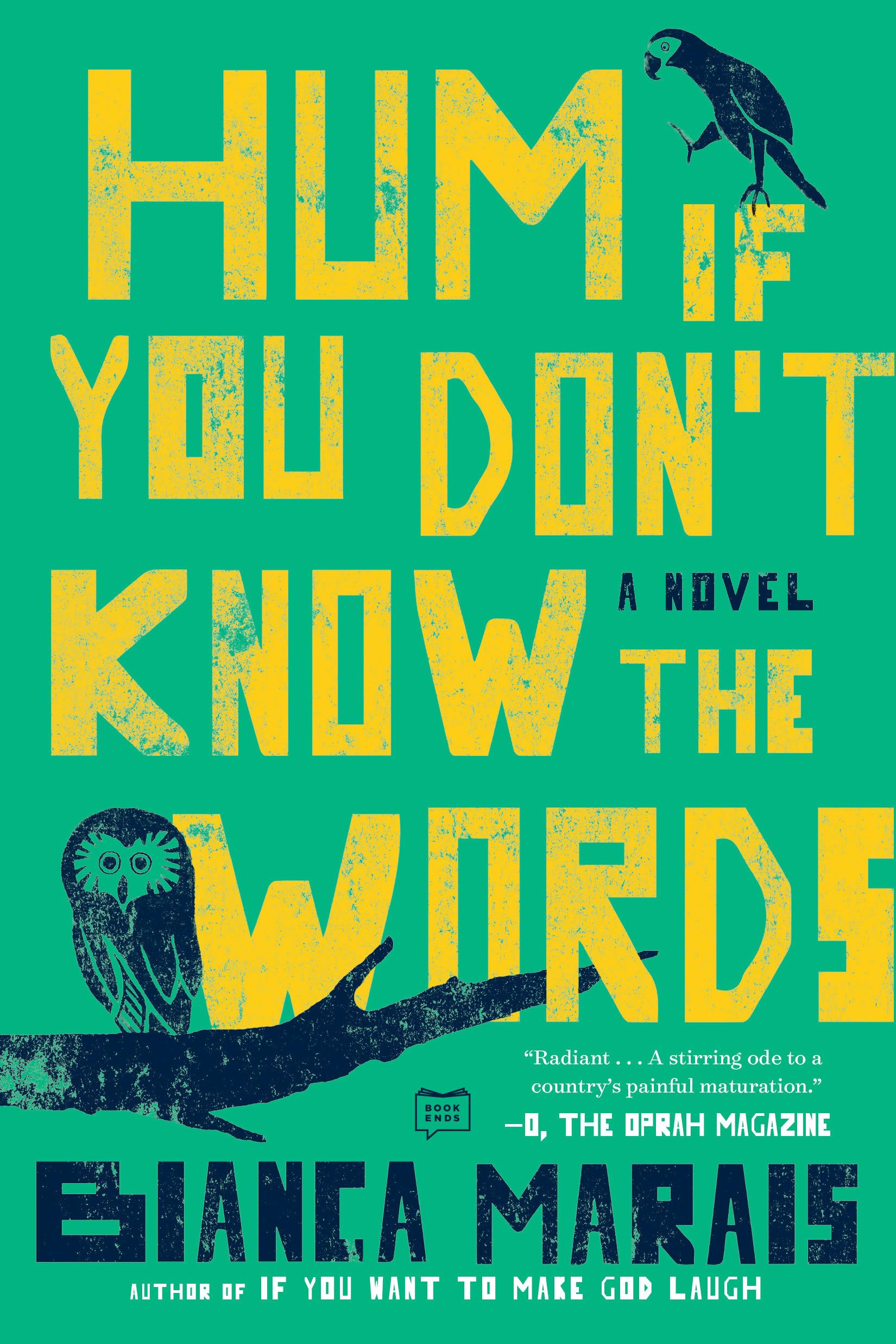 Hum If You Don't Know the Words: A Novel Contemporary literature