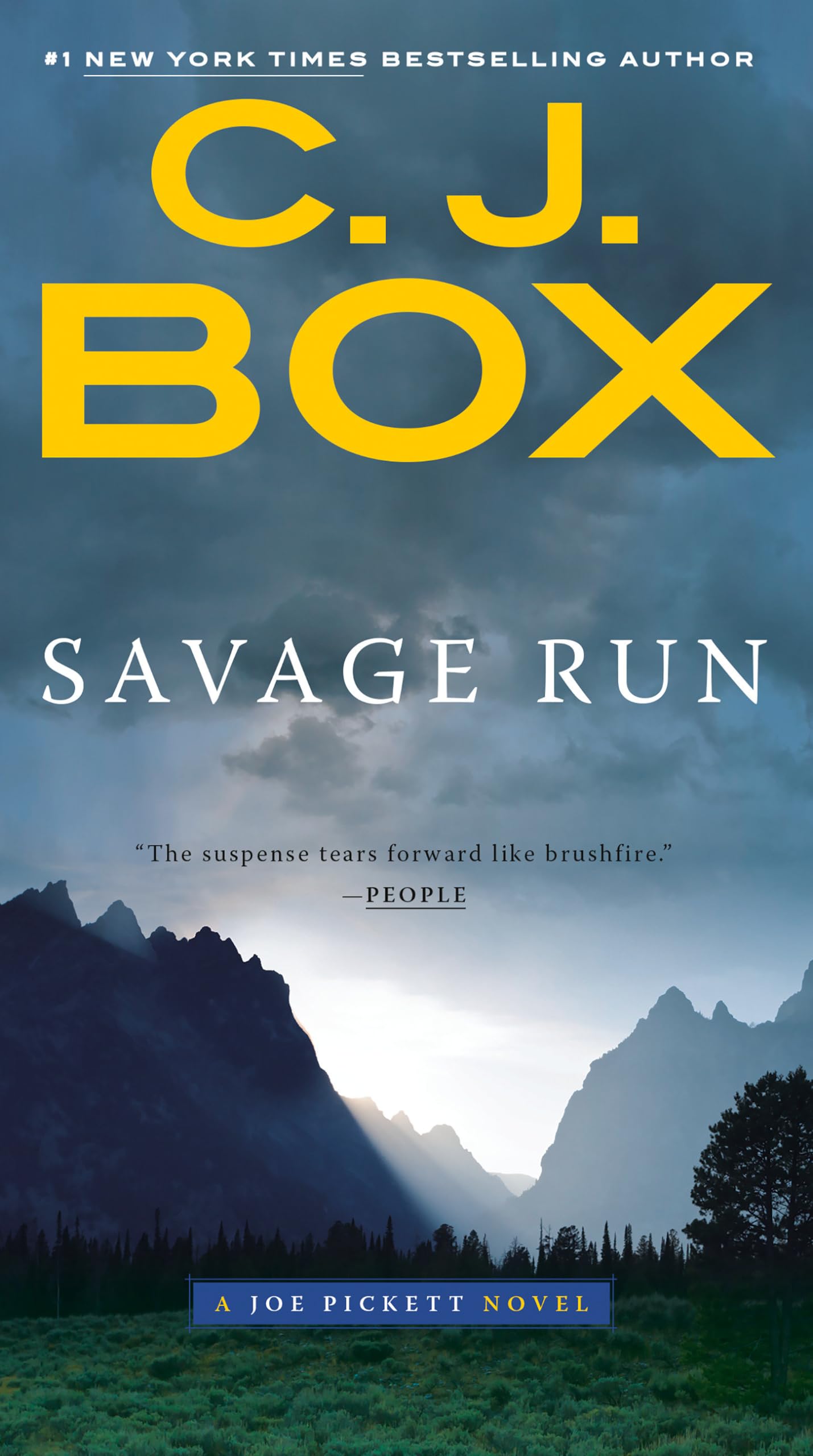 Savage Run (A Joe Pickett Novel, Band 2) Contemporary literature