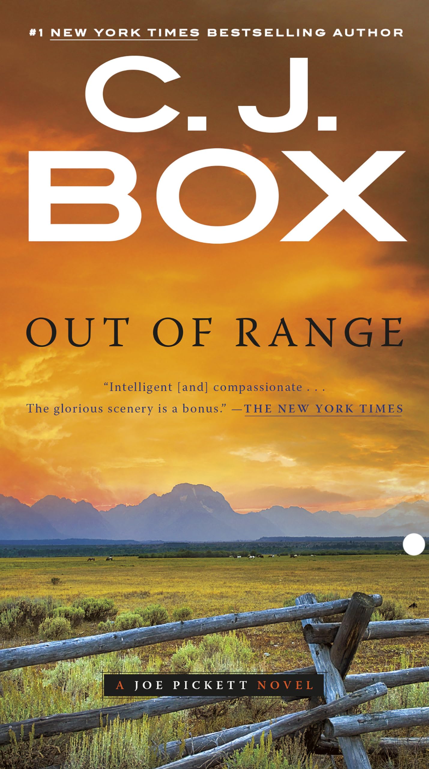 Out of Range (A Joe Pickett Novel, Band 5) Contemporary literature