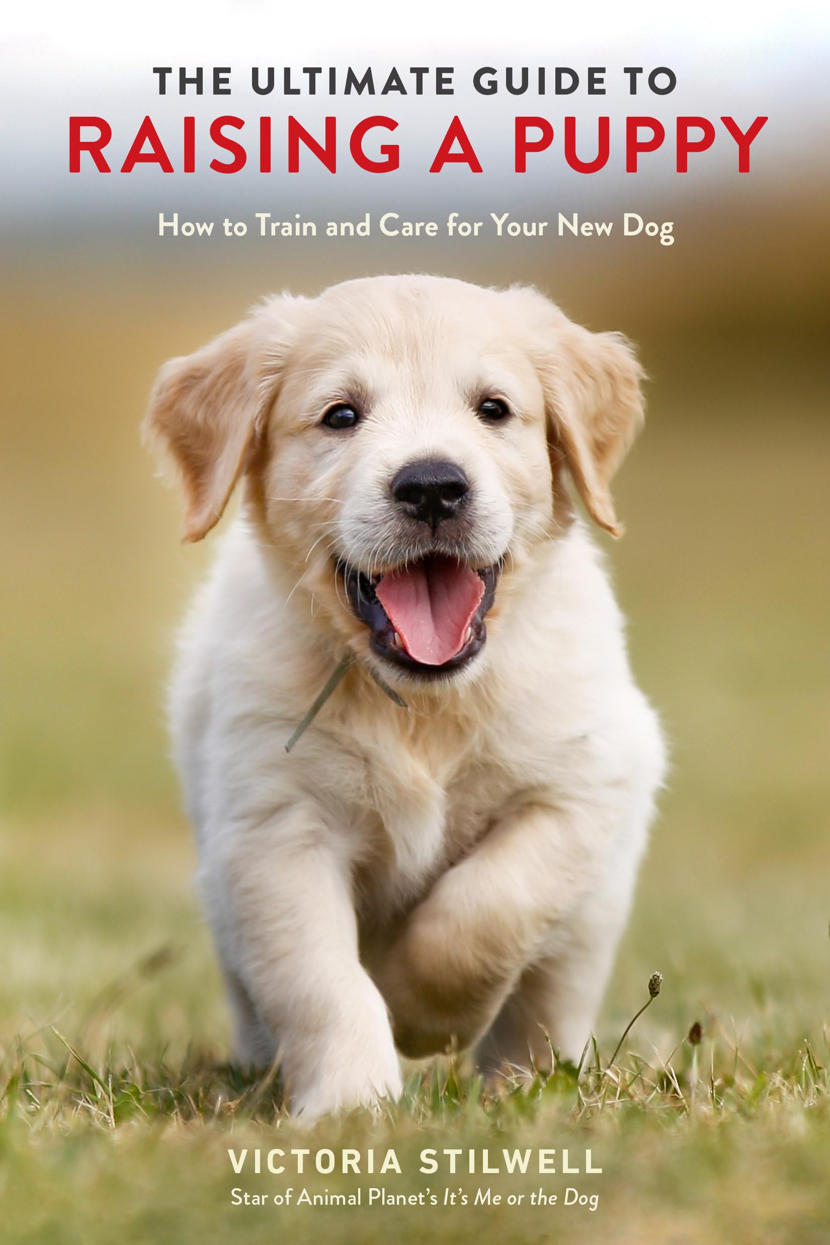 The Ultimate Guide to Raising a Puppy Medicine