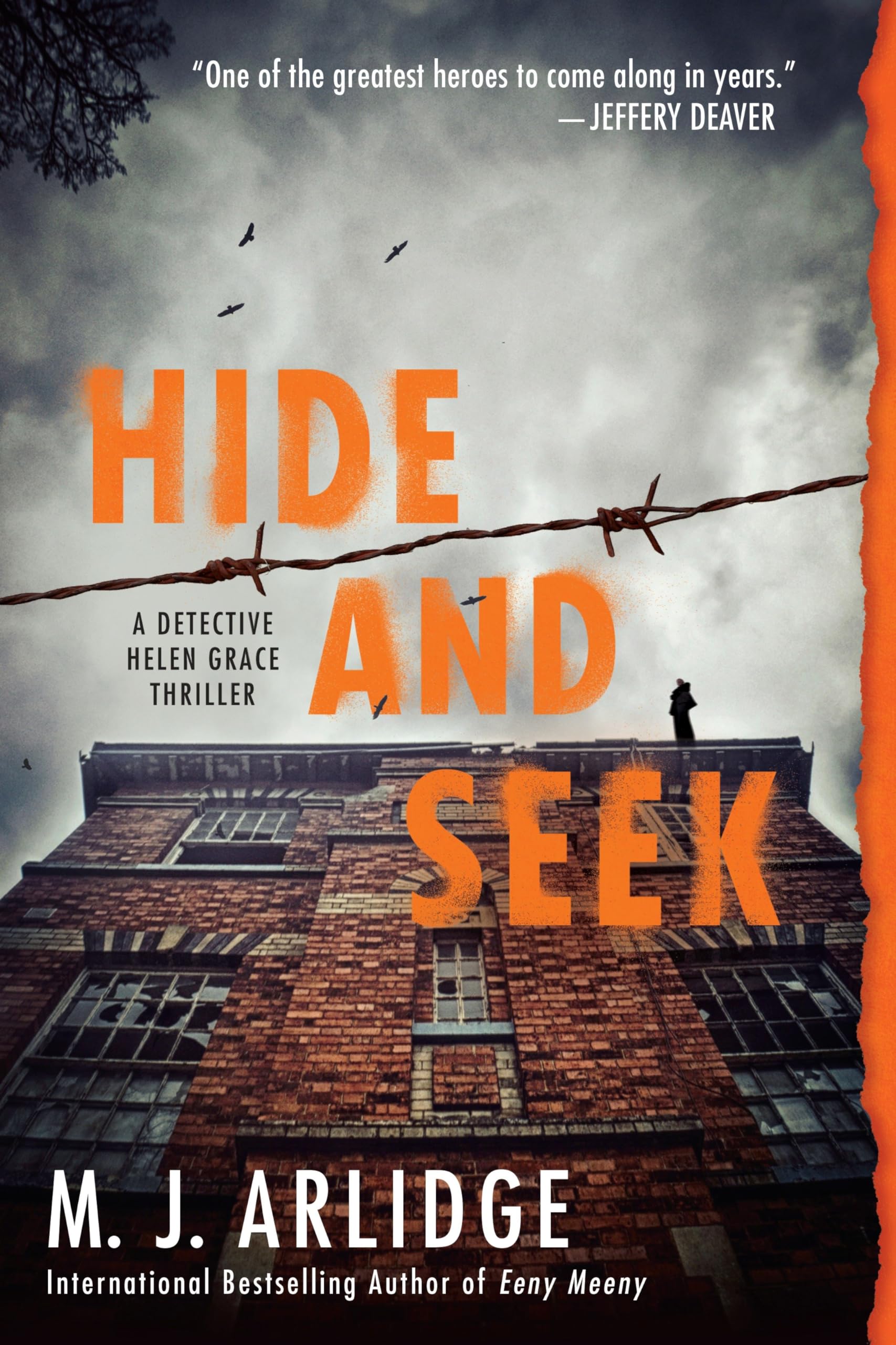 Hide and Seek (A Detective Helen Grace Thriller, 6, Band 6) Detective & CSI