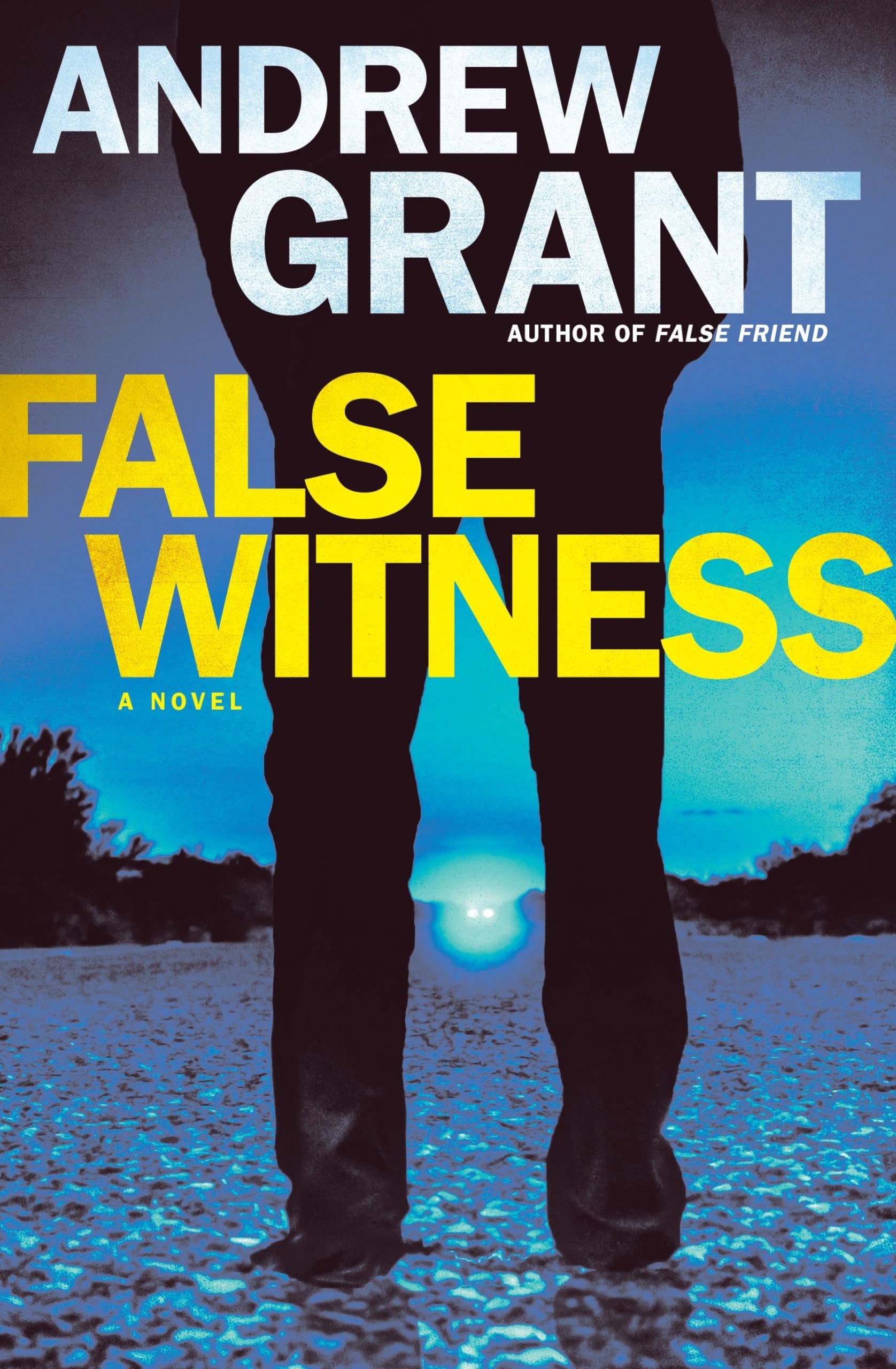 False Witness: A Novel (Detective Cooper Devereaux, Band 3) Action & Adventure