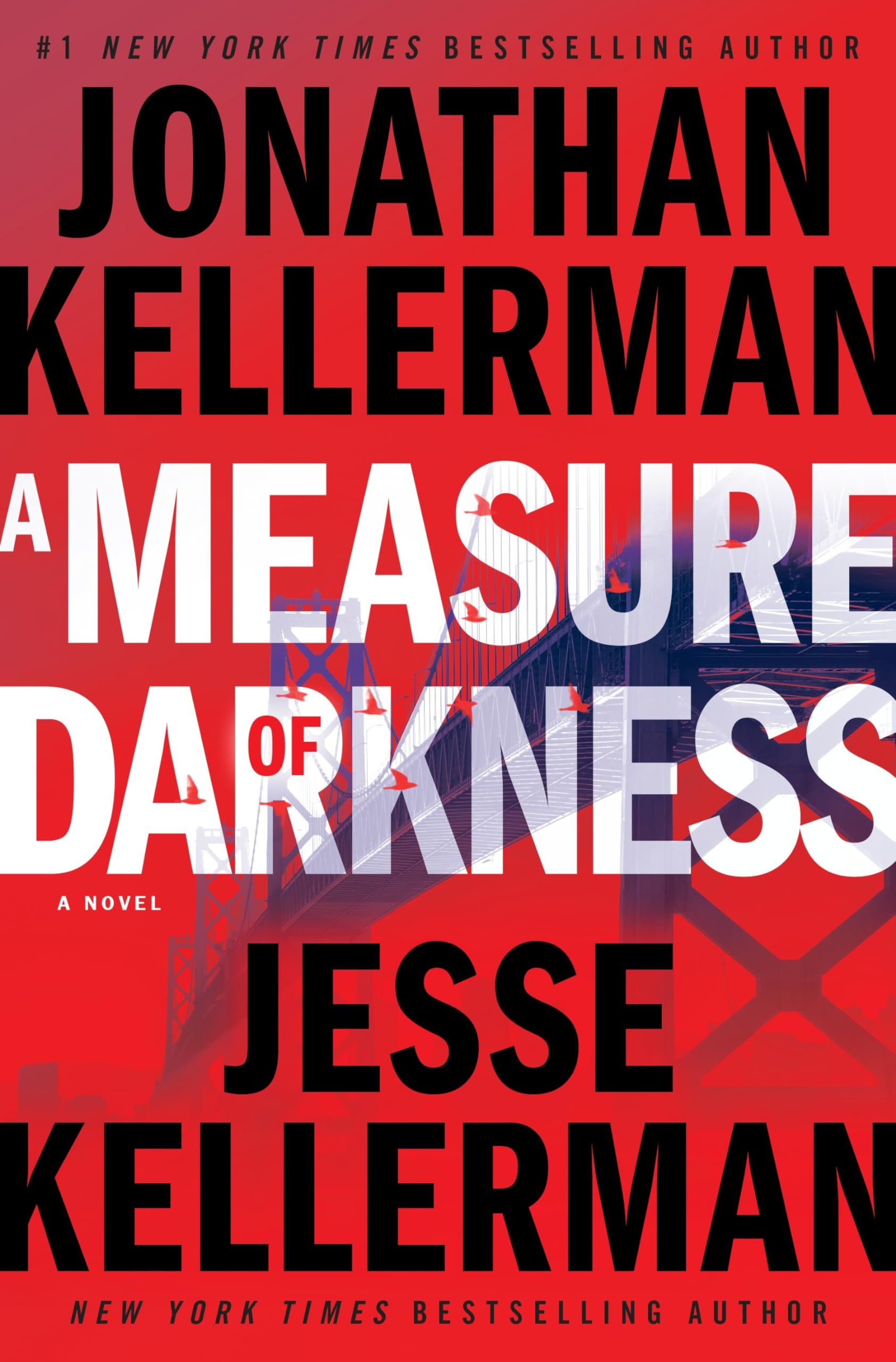 A Measure of Darkness: A Novel (Clay Edison, Band 2) Contemporary literature
