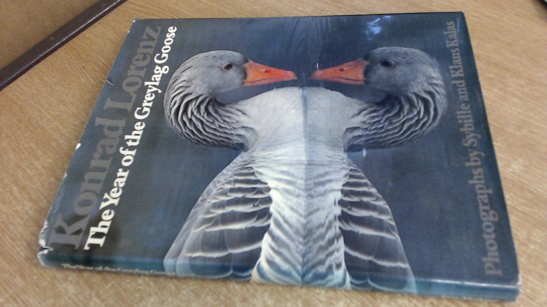 Year of the Greylag Goose, The Books