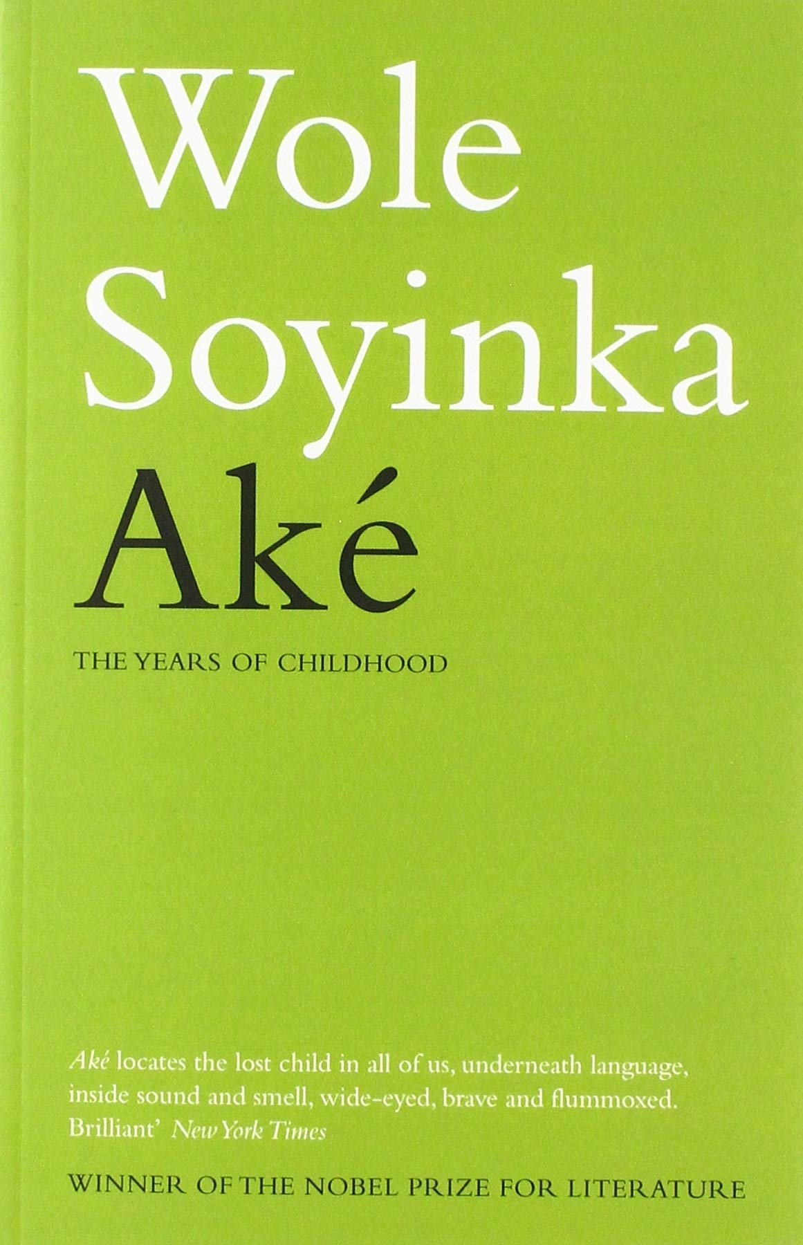 Ake: The Years of Childhood Memories